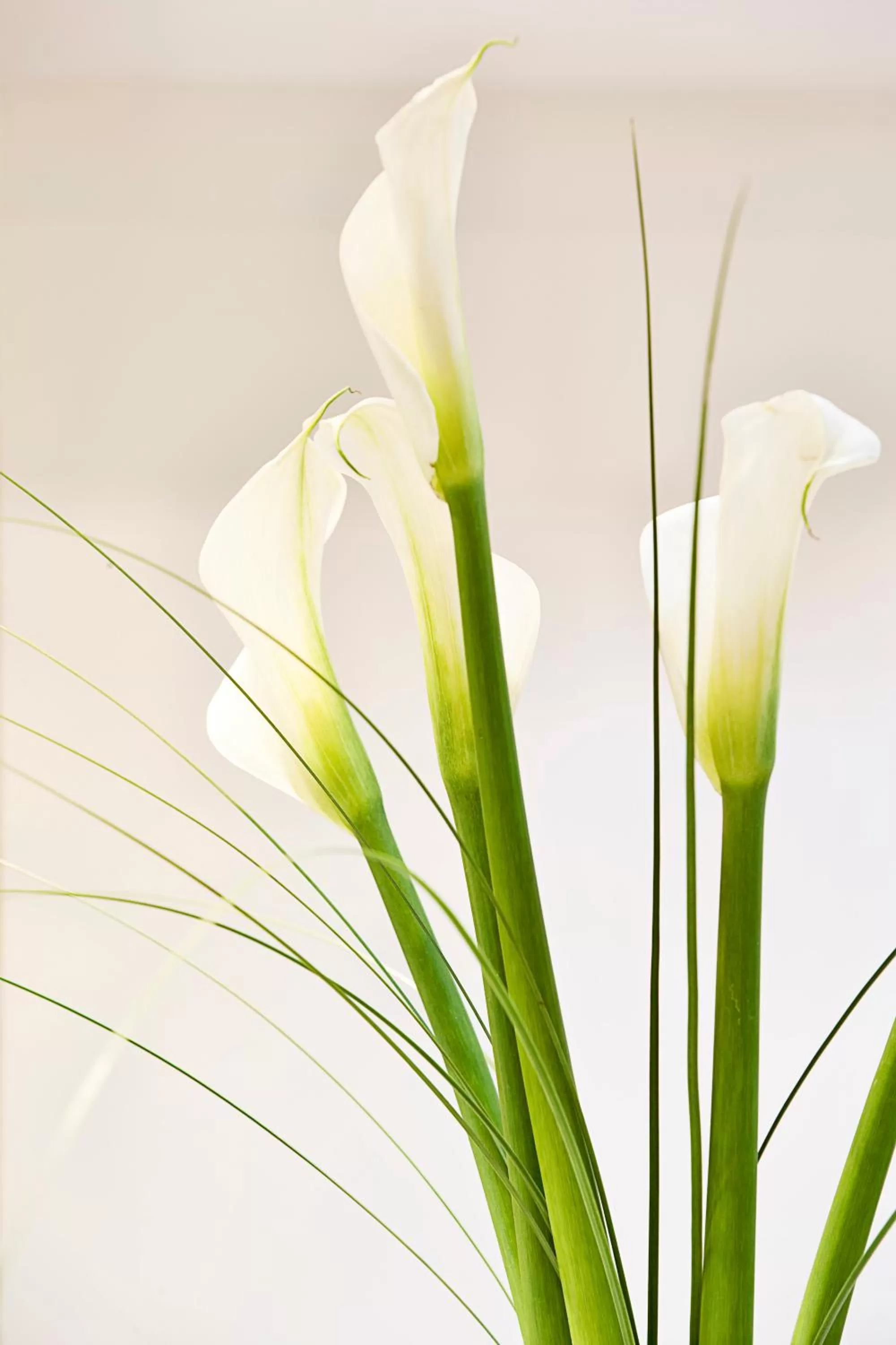 Other in Arion Athens Hotel