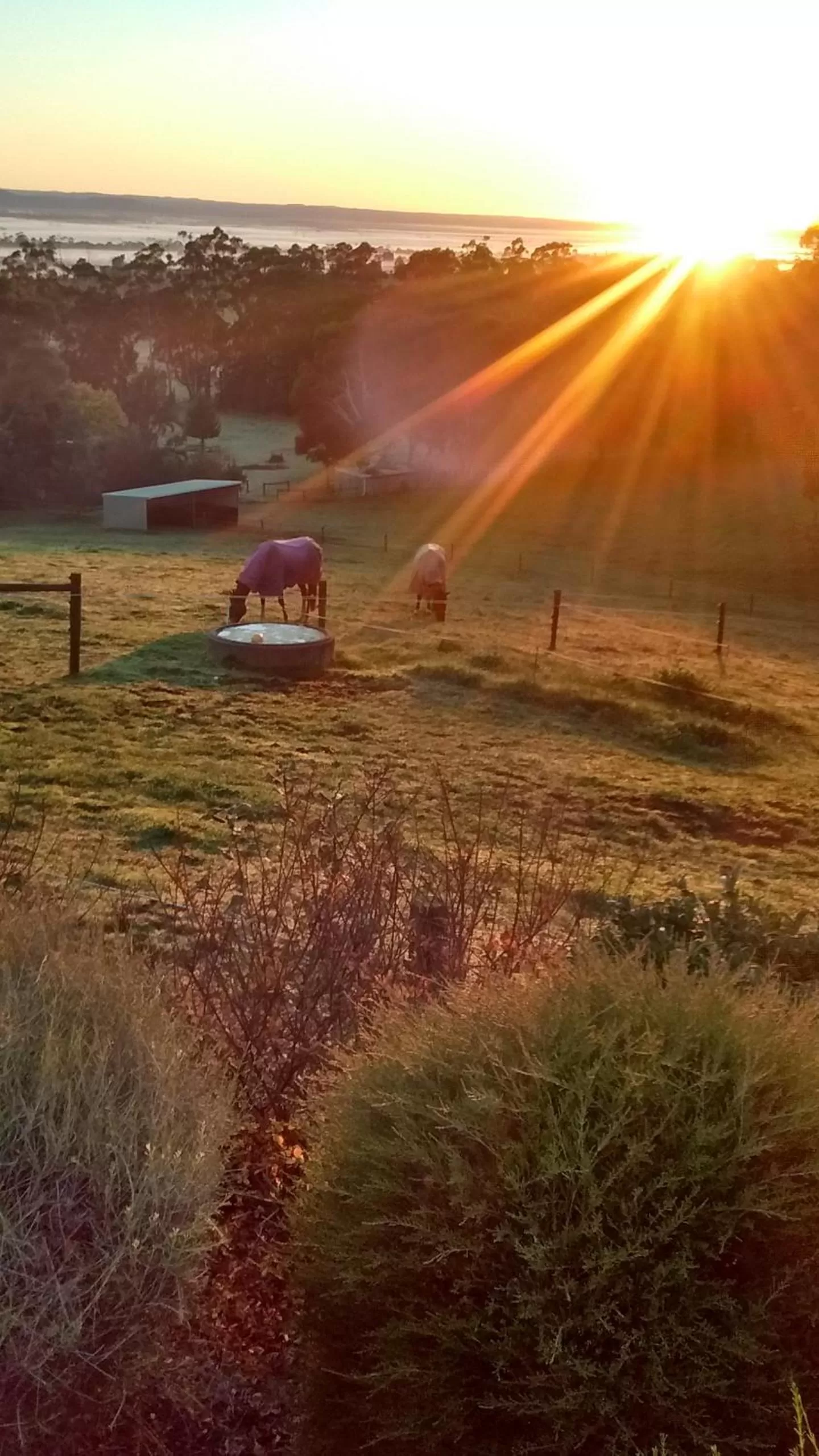 Winter in Rosewood Park Guest Suite