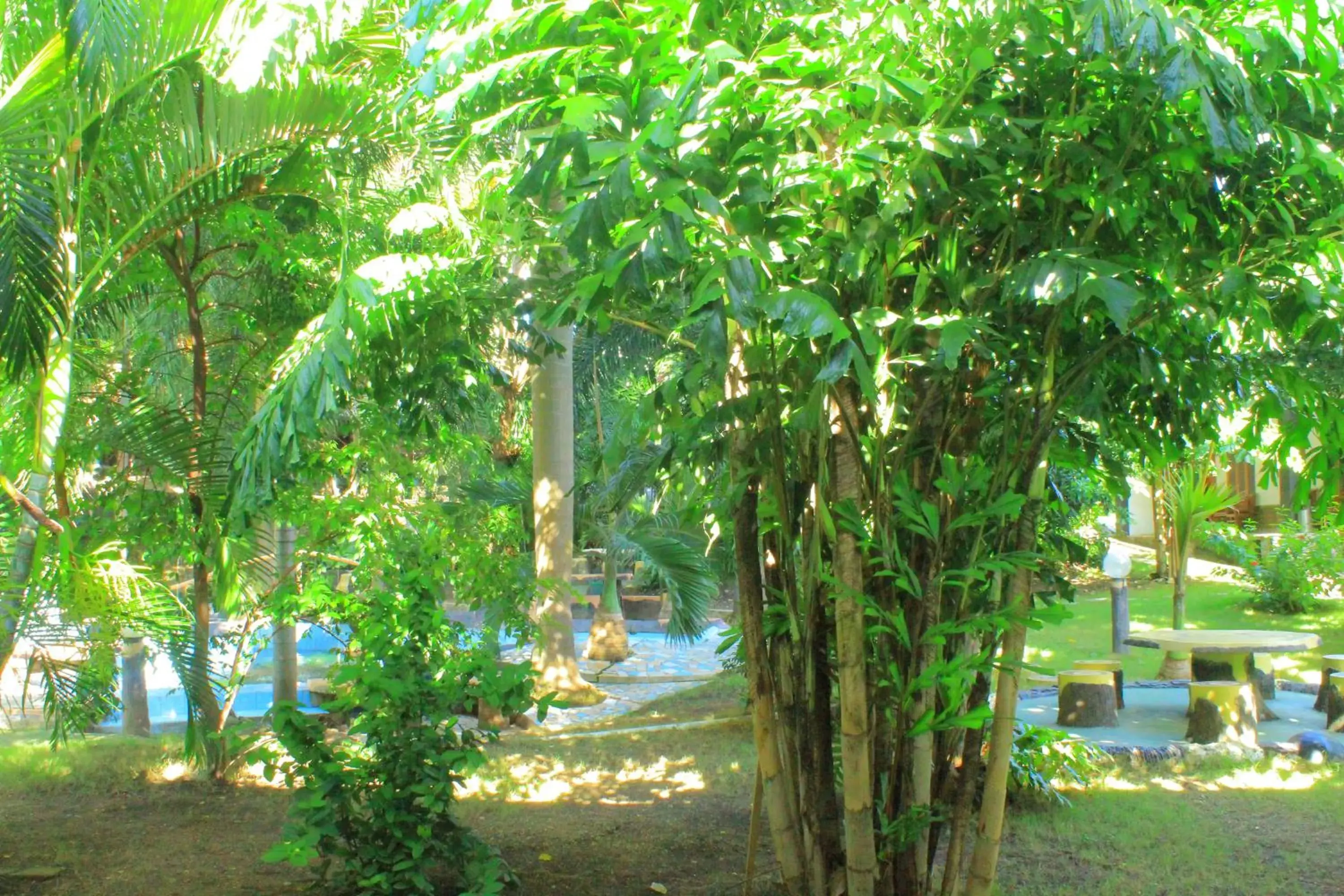 Garden in Green Prundi Hotel