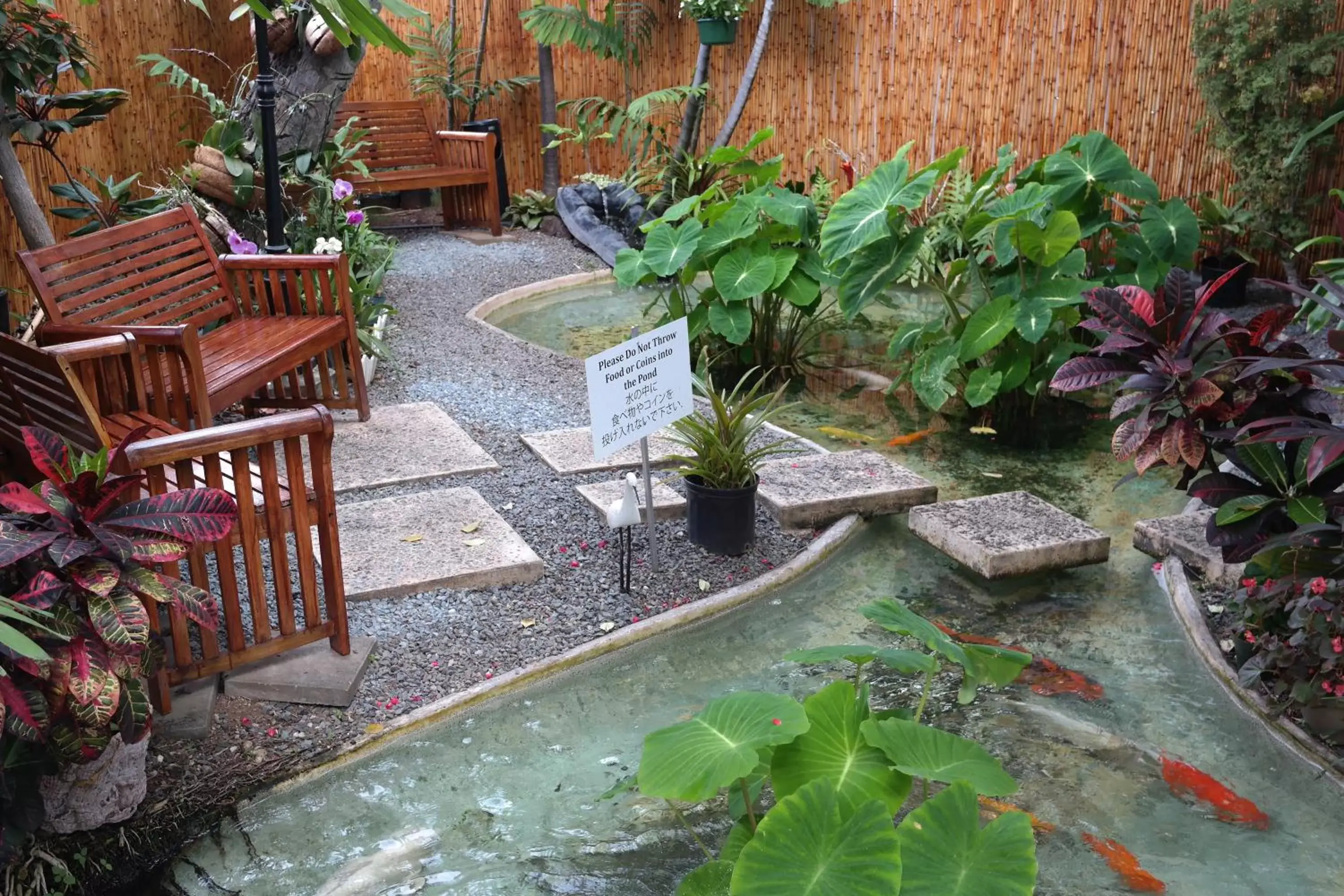 Garden in Aqua Oasis