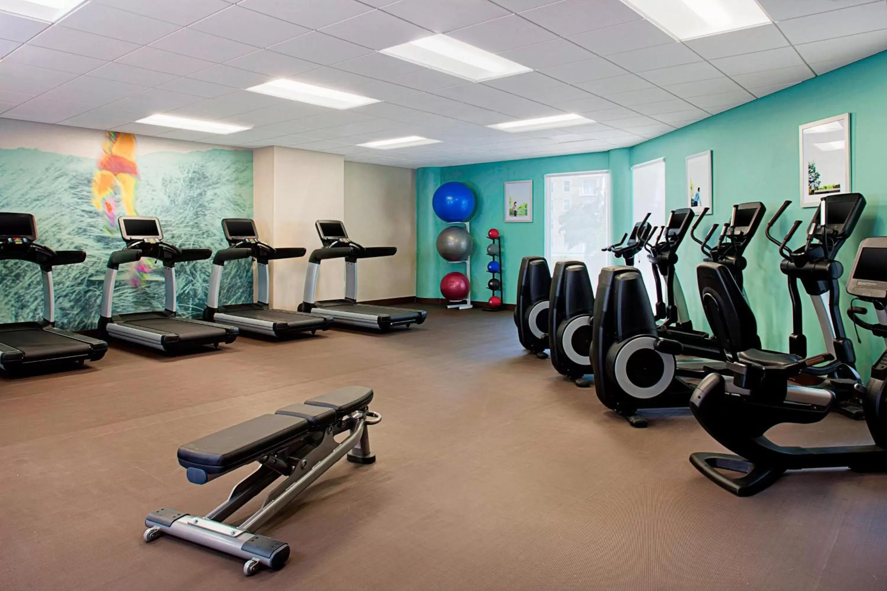 Fitness centre/facilities, Fitness Center/Facilities in The Westin Tampa Waterside