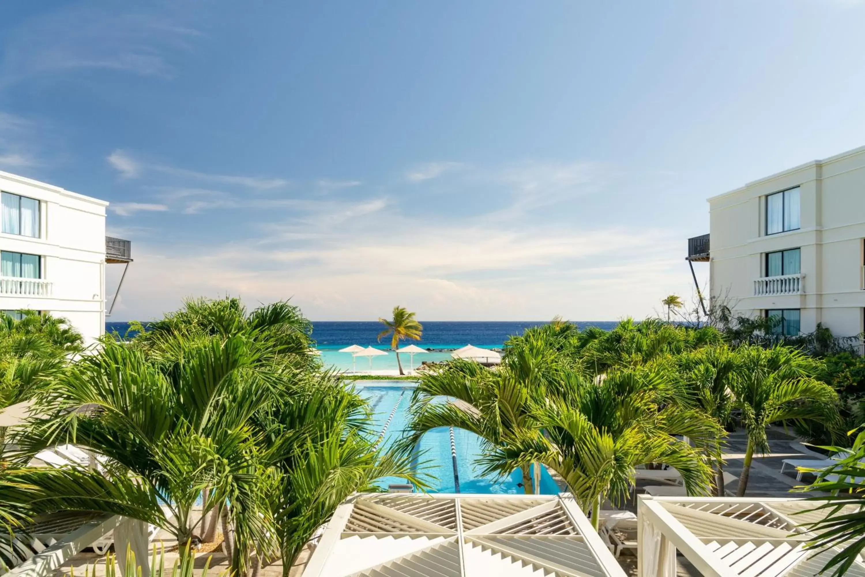 Photo of the whole room, Pool View in Curaçao Marriott Beach Resort