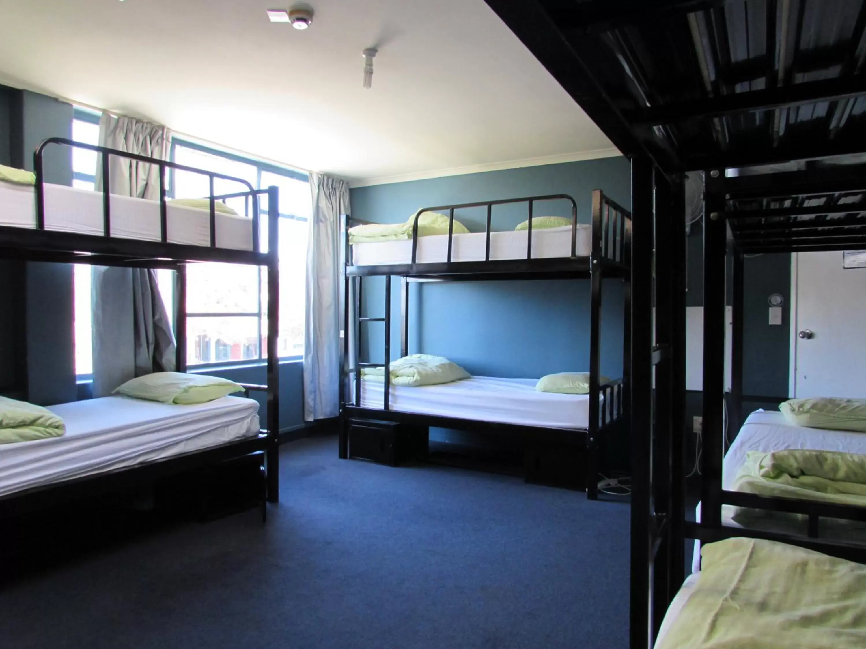 Photo of the whole room, Bunk Bed in Rotorua Downtown Backpackers