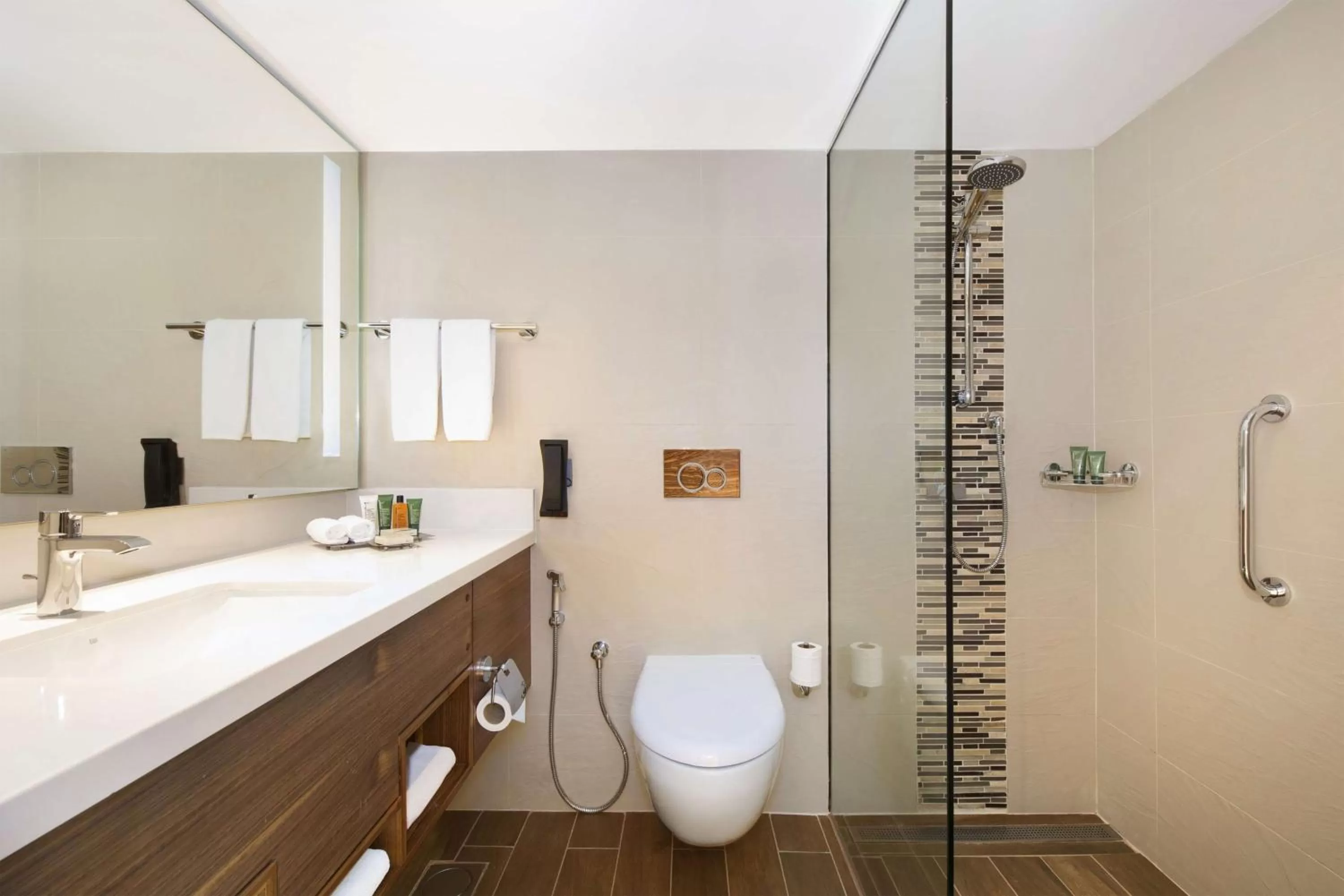 Bathroom in Hilton Garden Inn Ras Al Khaimah