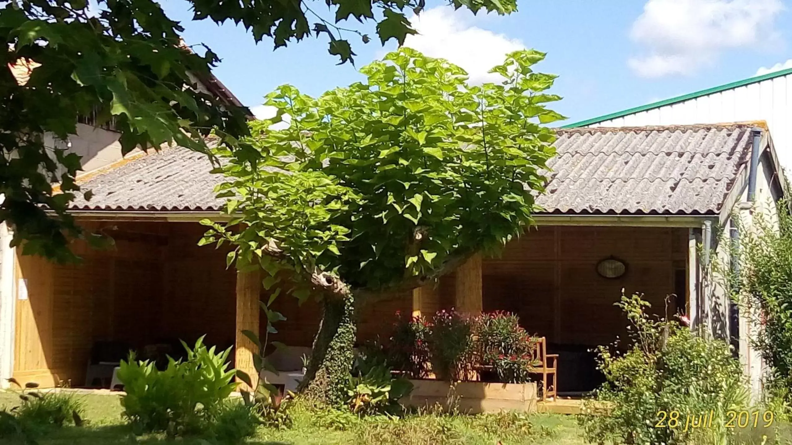 Garden, Property Building in Montplaisir