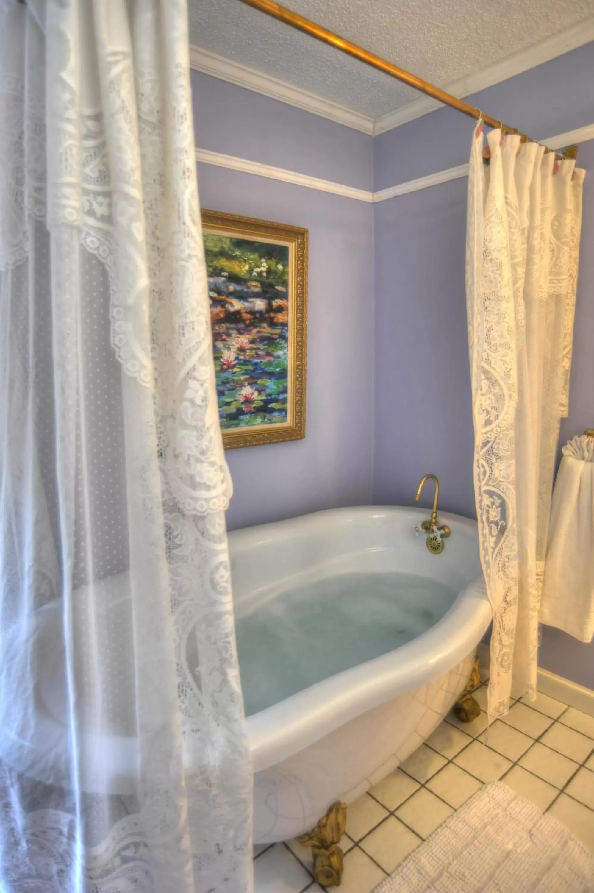 Hot Tub, Bathroom in Blue Mountain Mist Country Inn