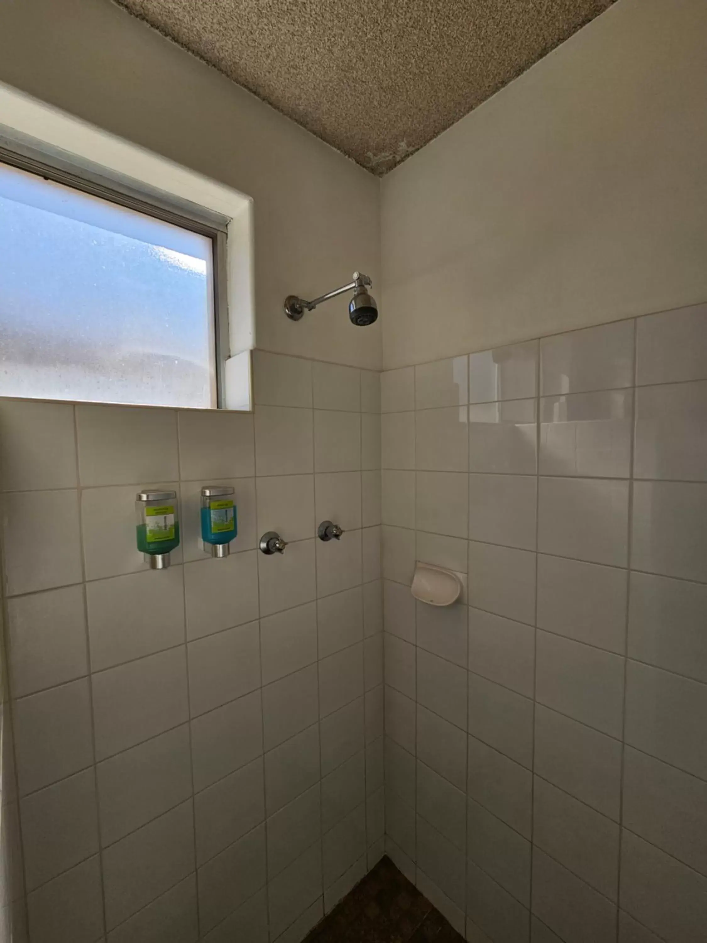 Shower, Bathroom in Hunter Valley Motel