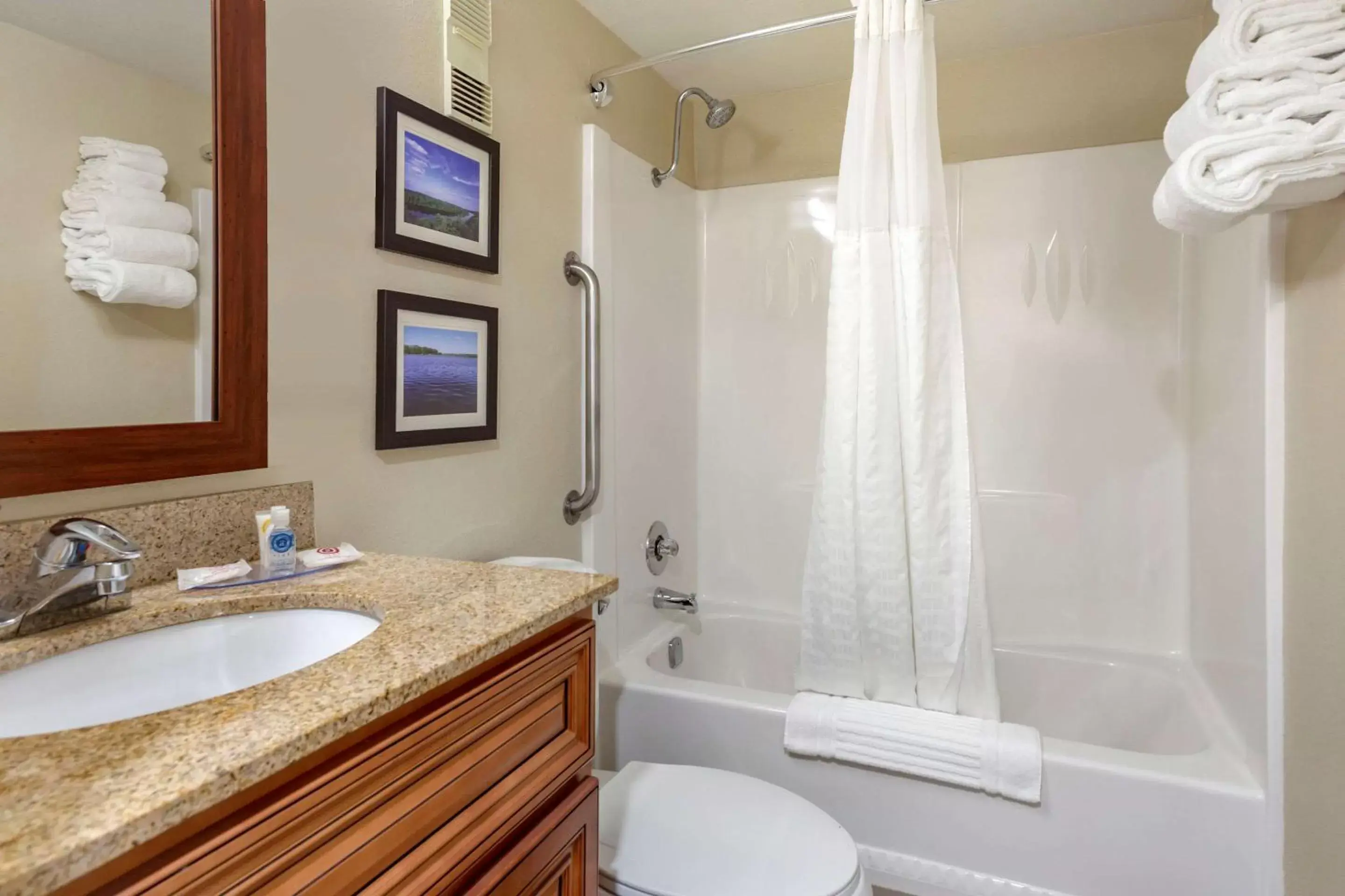 Shower, Bathroom in Comfort Inn & Suites Rochelle