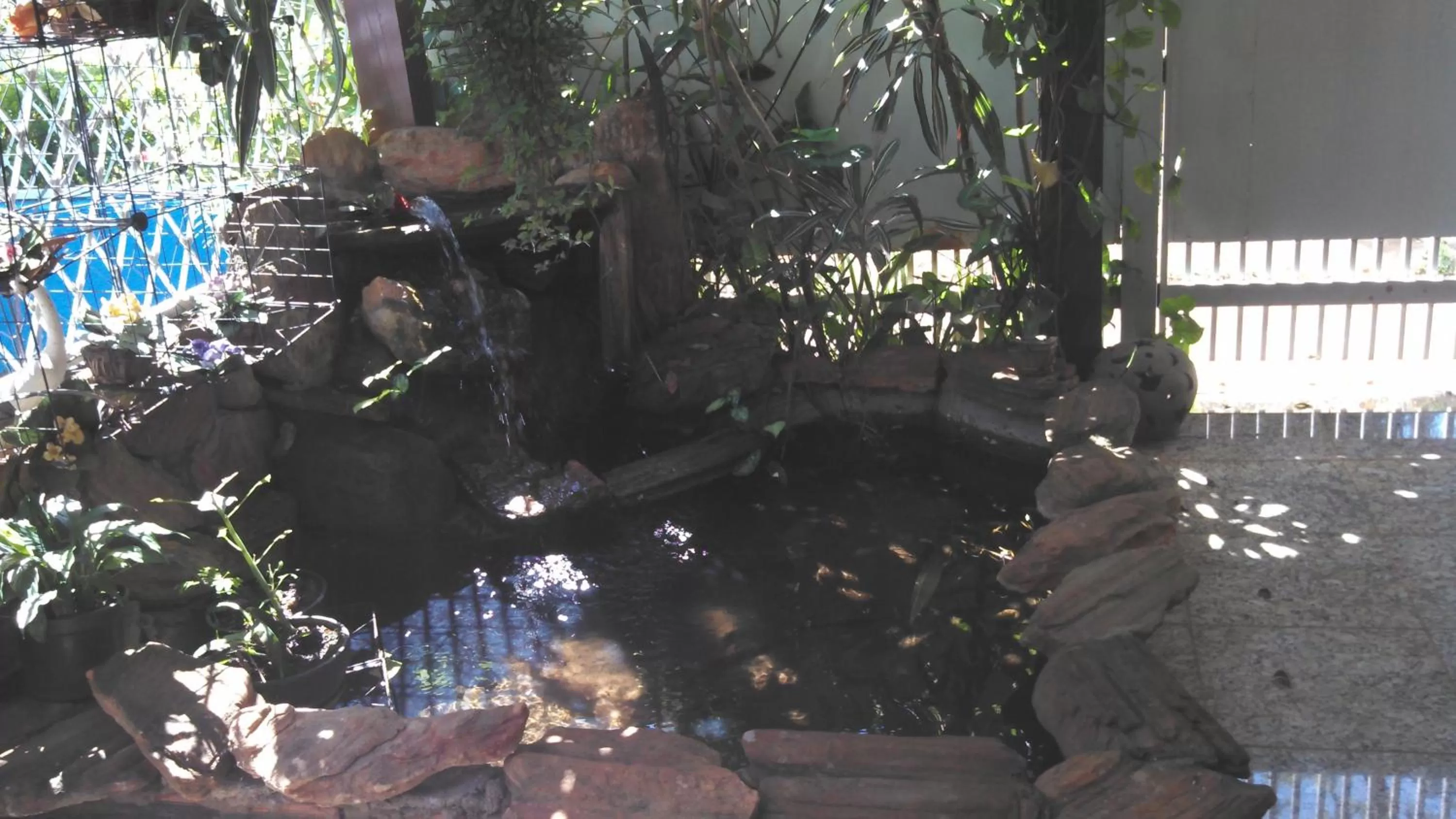 Natural landscape in Kzazendf Cama&Cafe Hospedagem Familiar