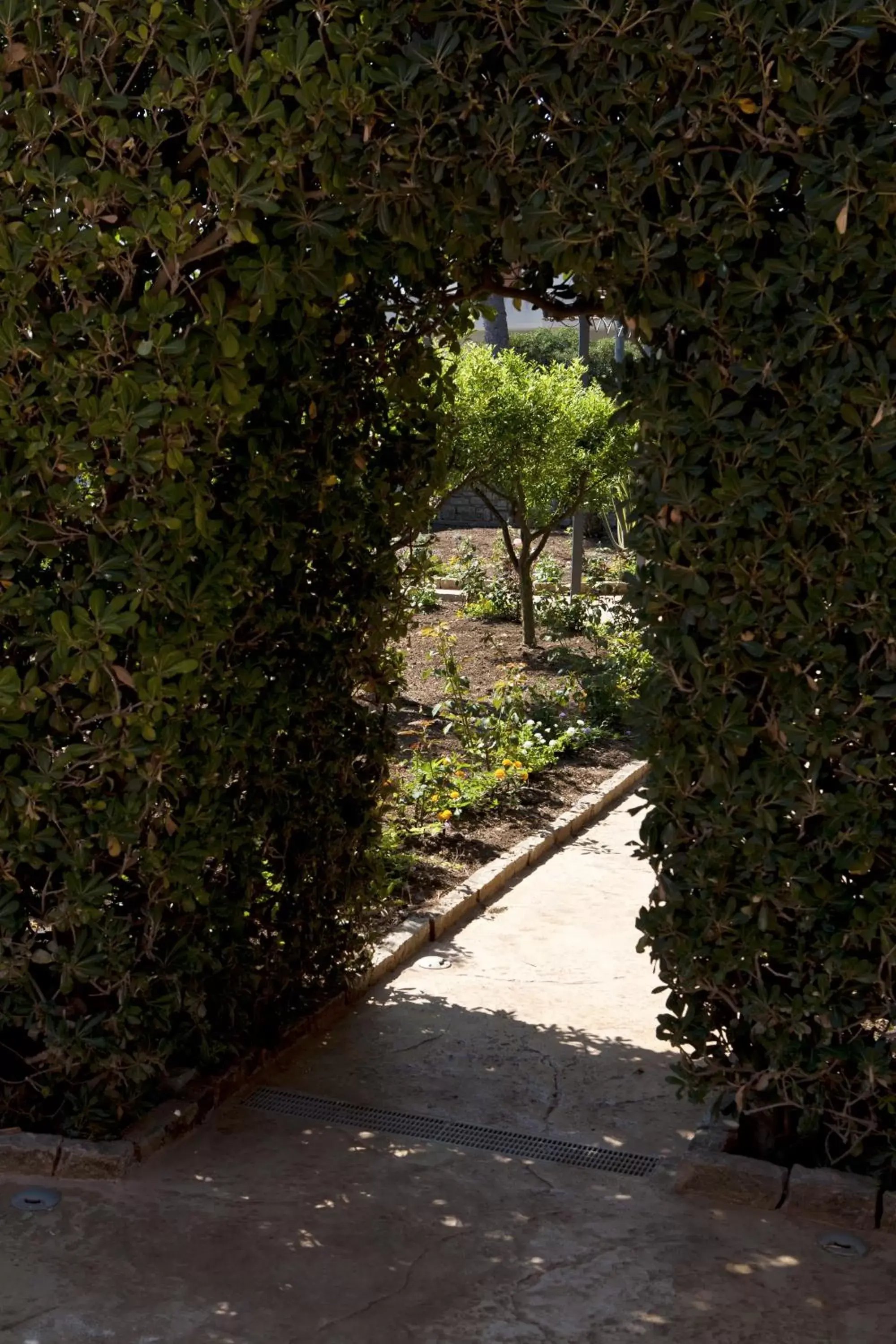 Garden in B&B 7Cento Ulivi