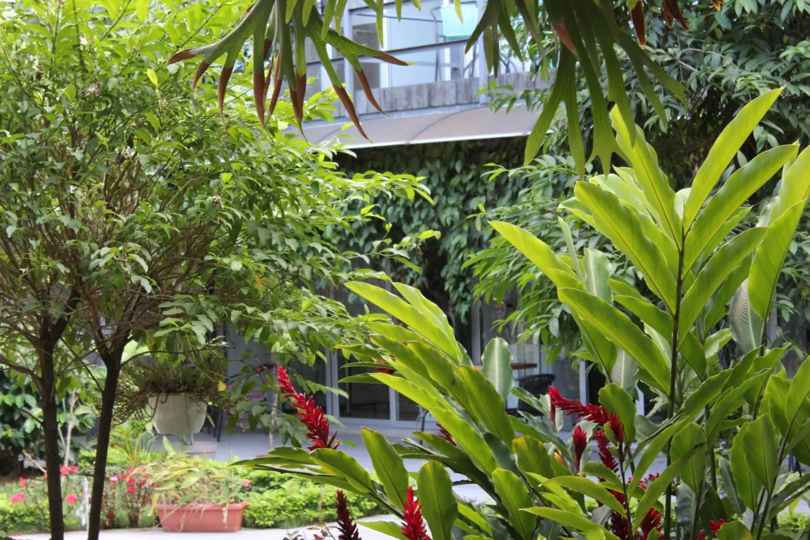 Natural landscape in Cando Living Apartments in Central Avenue