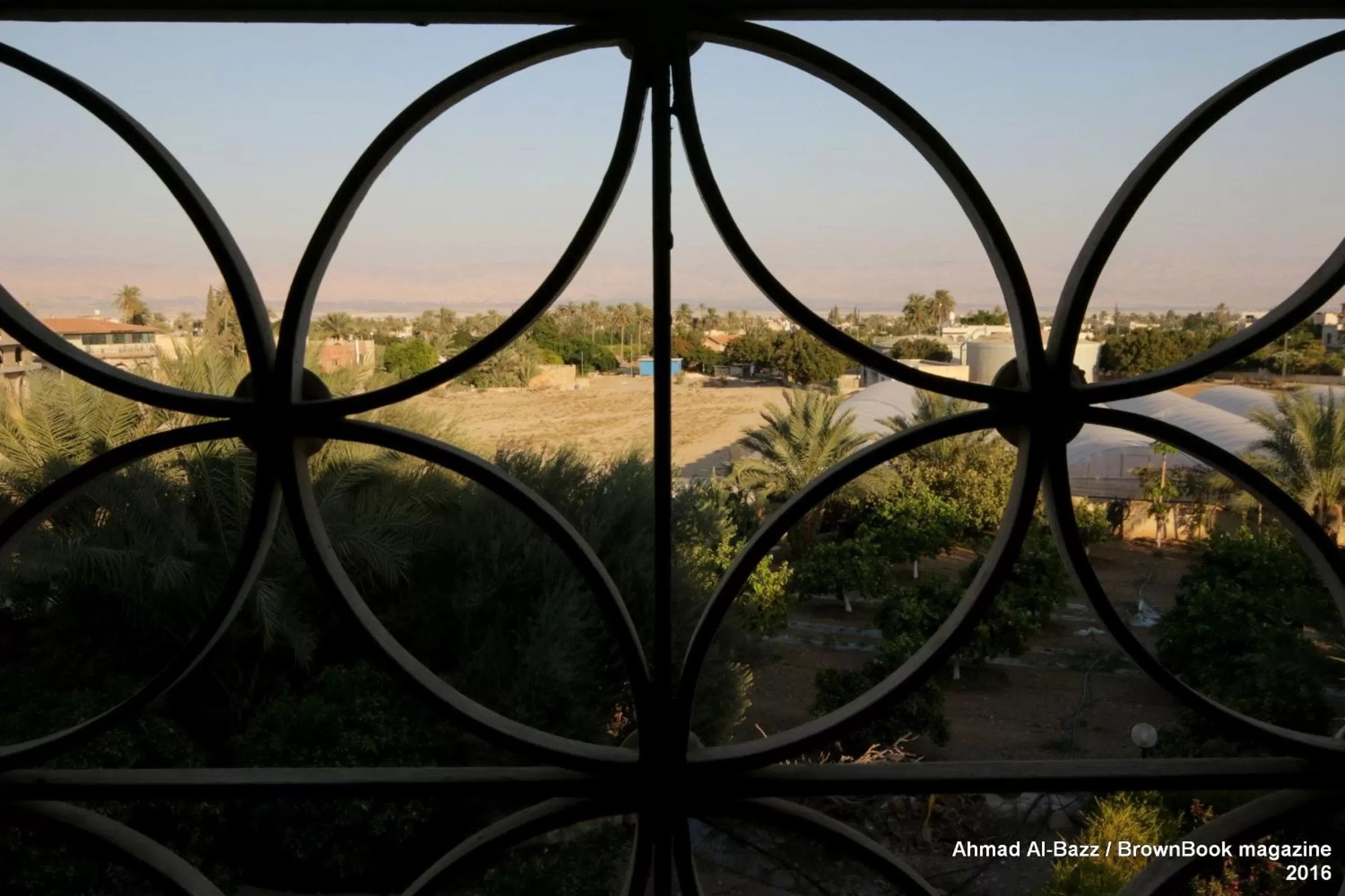 Garden view in Auberg-Inn Guesthouse