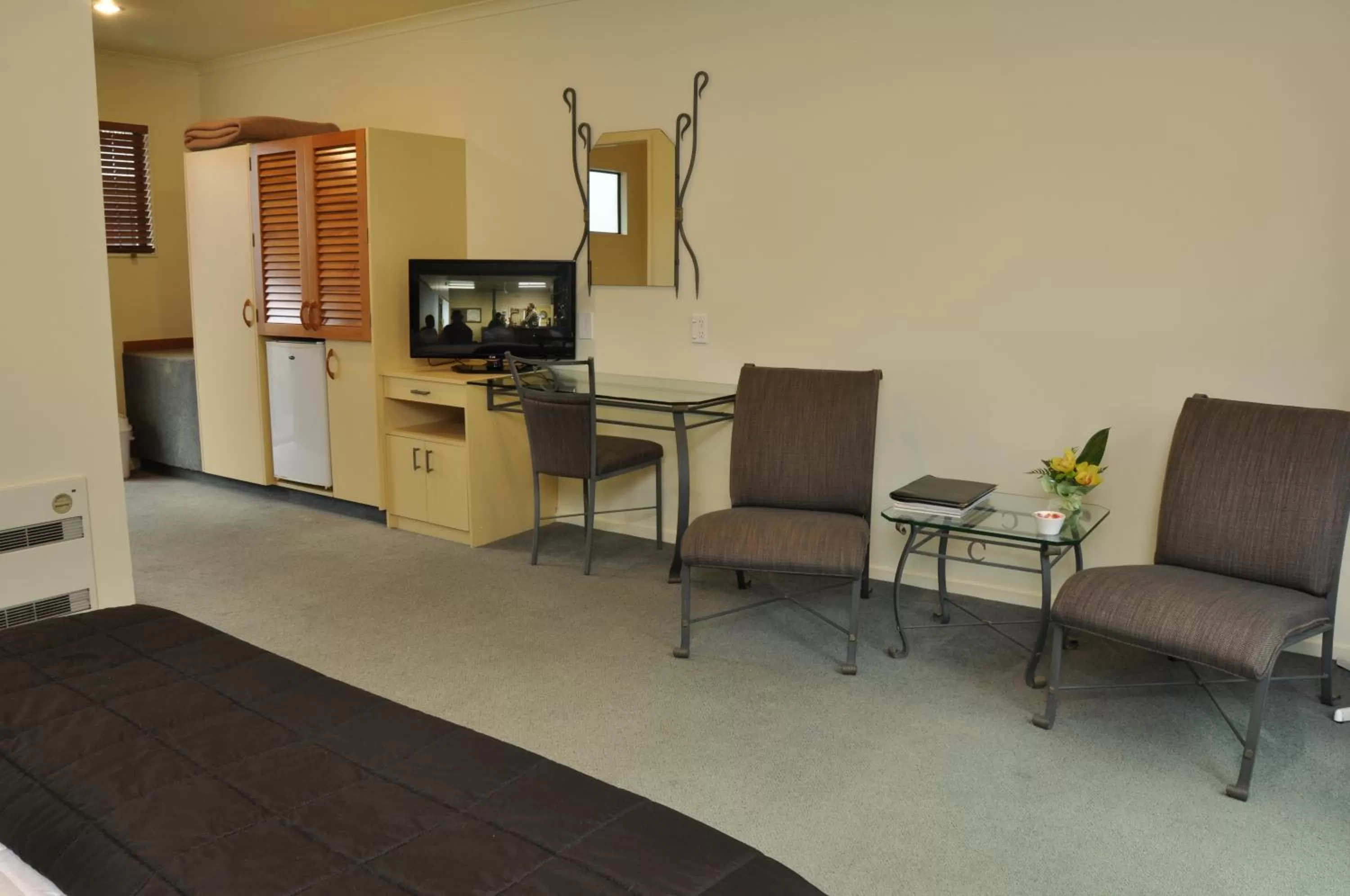 TV and multimedia in Chancellor Motor Lodge and Conference Centre