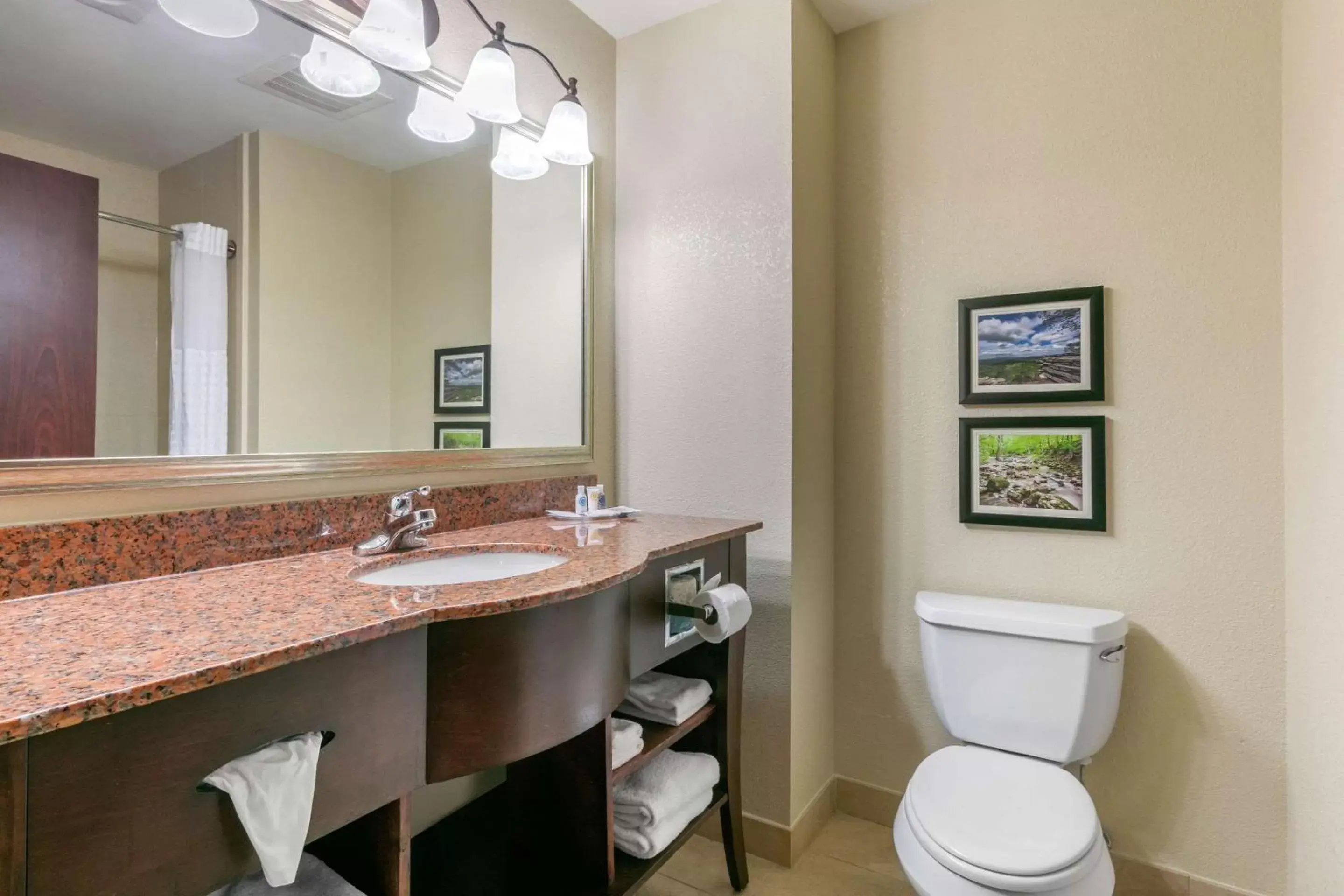 Bedroom, Bathroom in Comfort Suites Forrest City