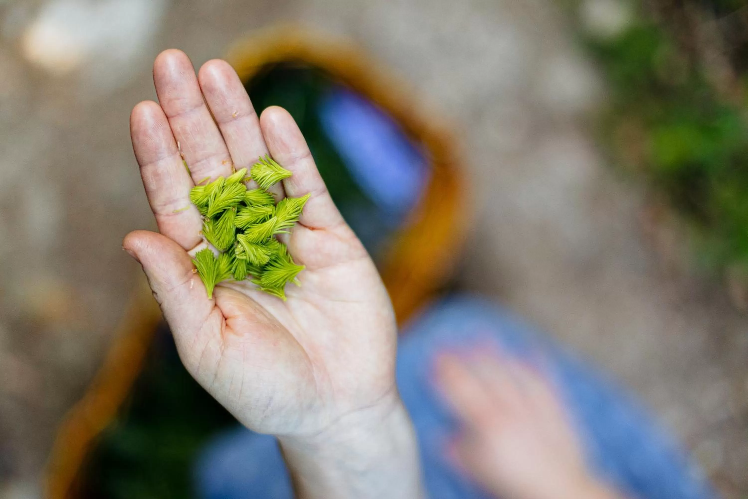 Spring in Hueber der Wirt