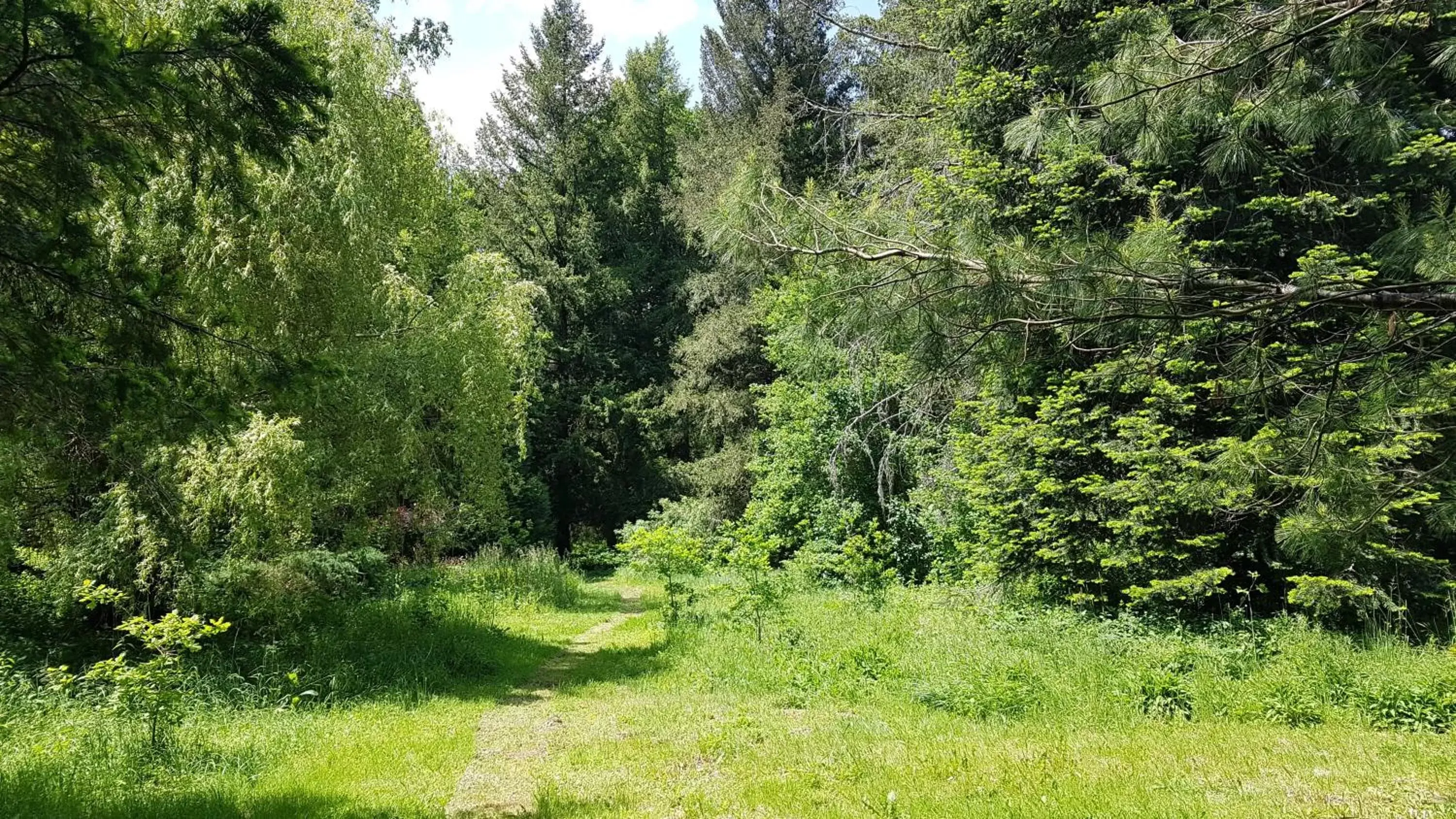 Garden in L'ancienne Gendarmerie