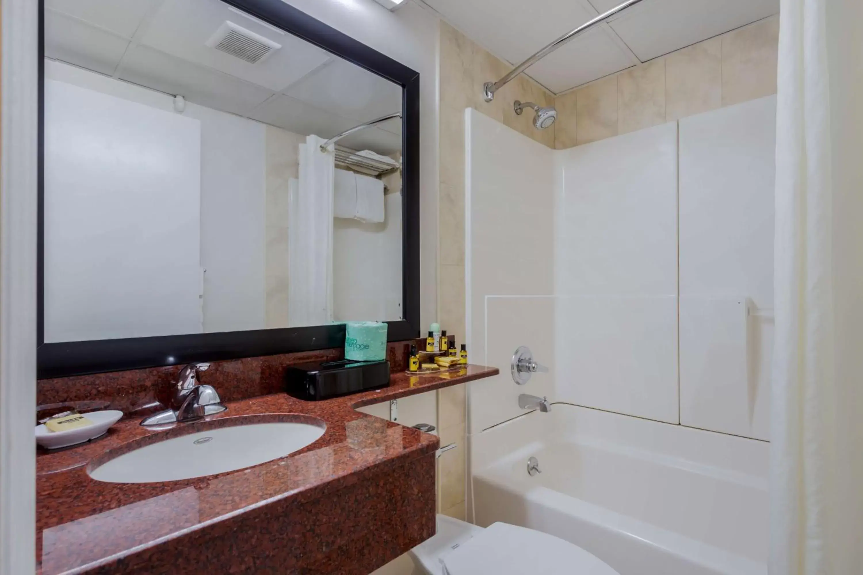 Bathroom in Best Western Plus Brooklyn Bay Hotel