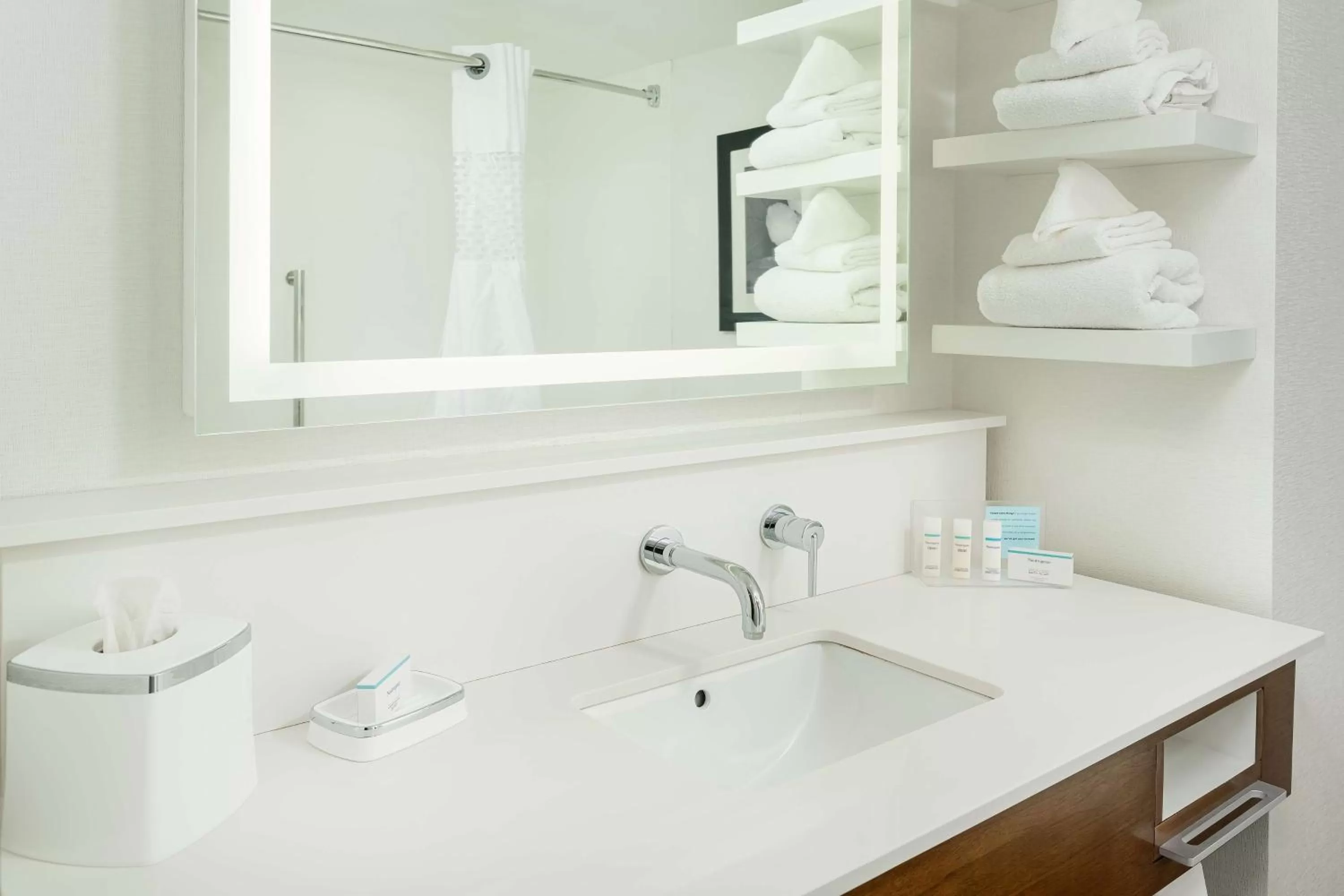 Bathroom in Hampton Inn Oak Ridge Knoxville