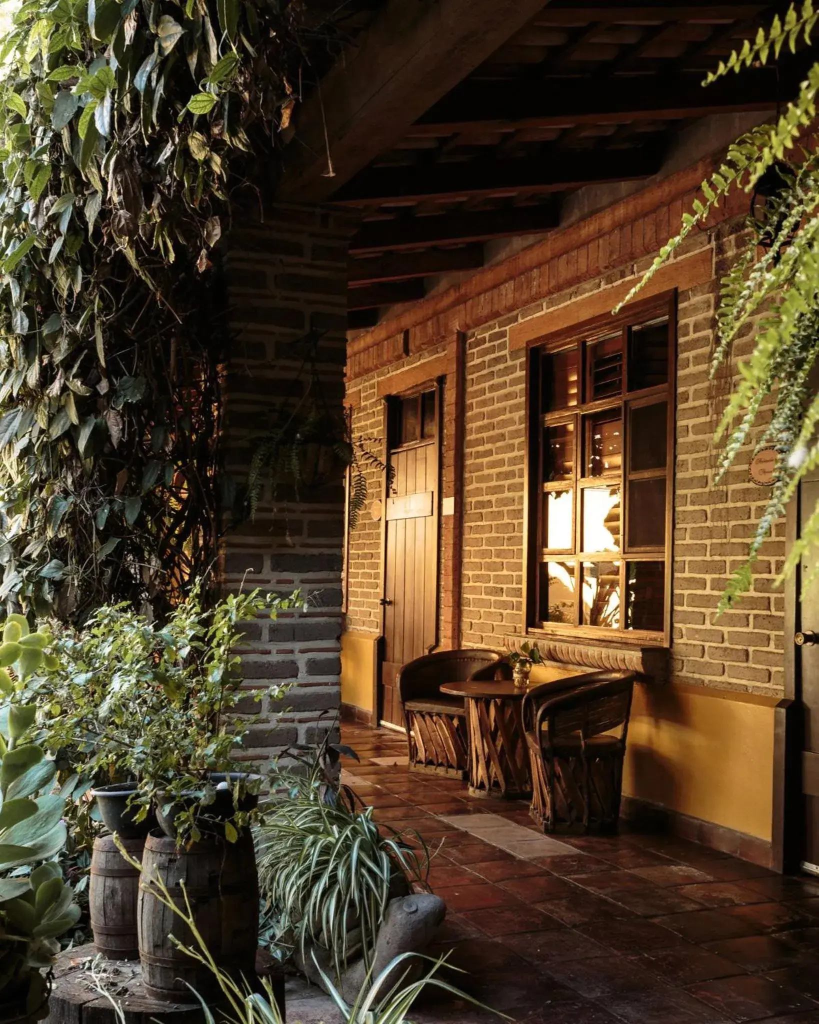 Patio in Quinta San Carlos