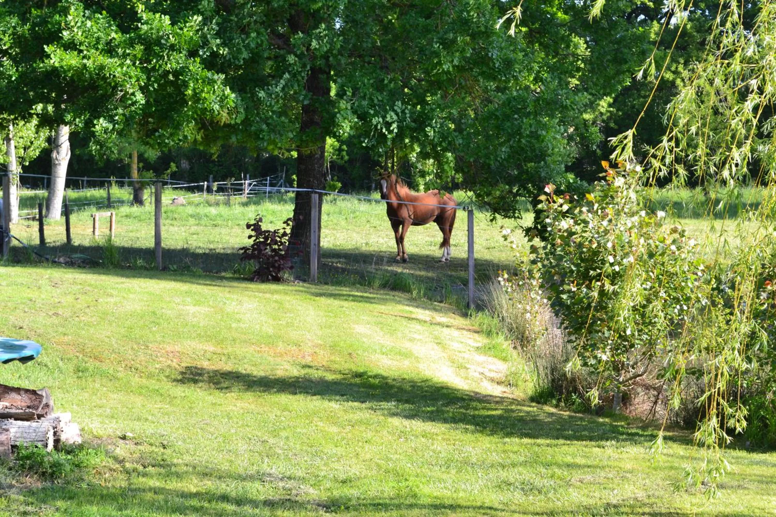 Property building, Garden in L'instant bleu