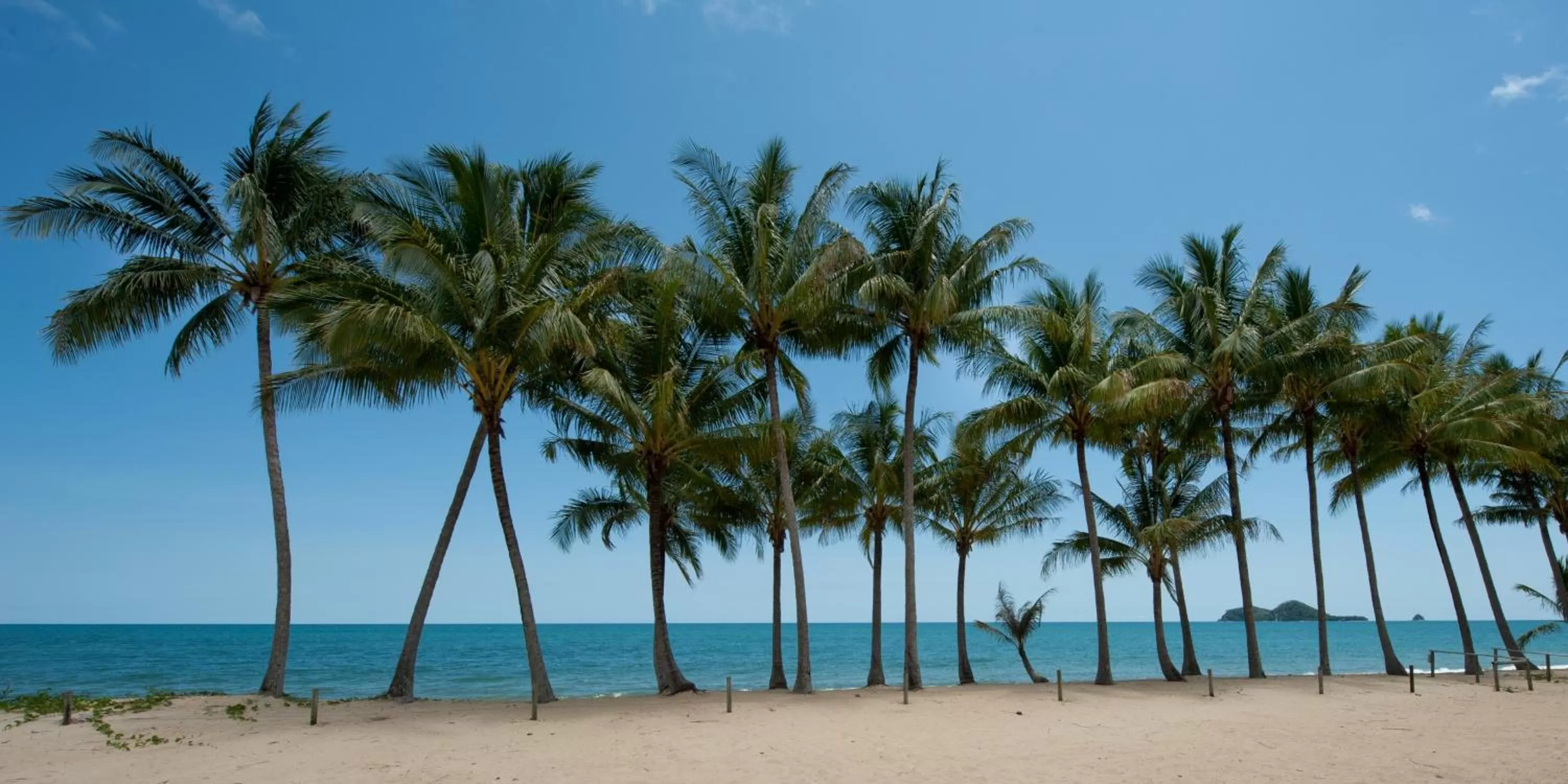 Day in Ellis Beach Oceanfront Holiday Park