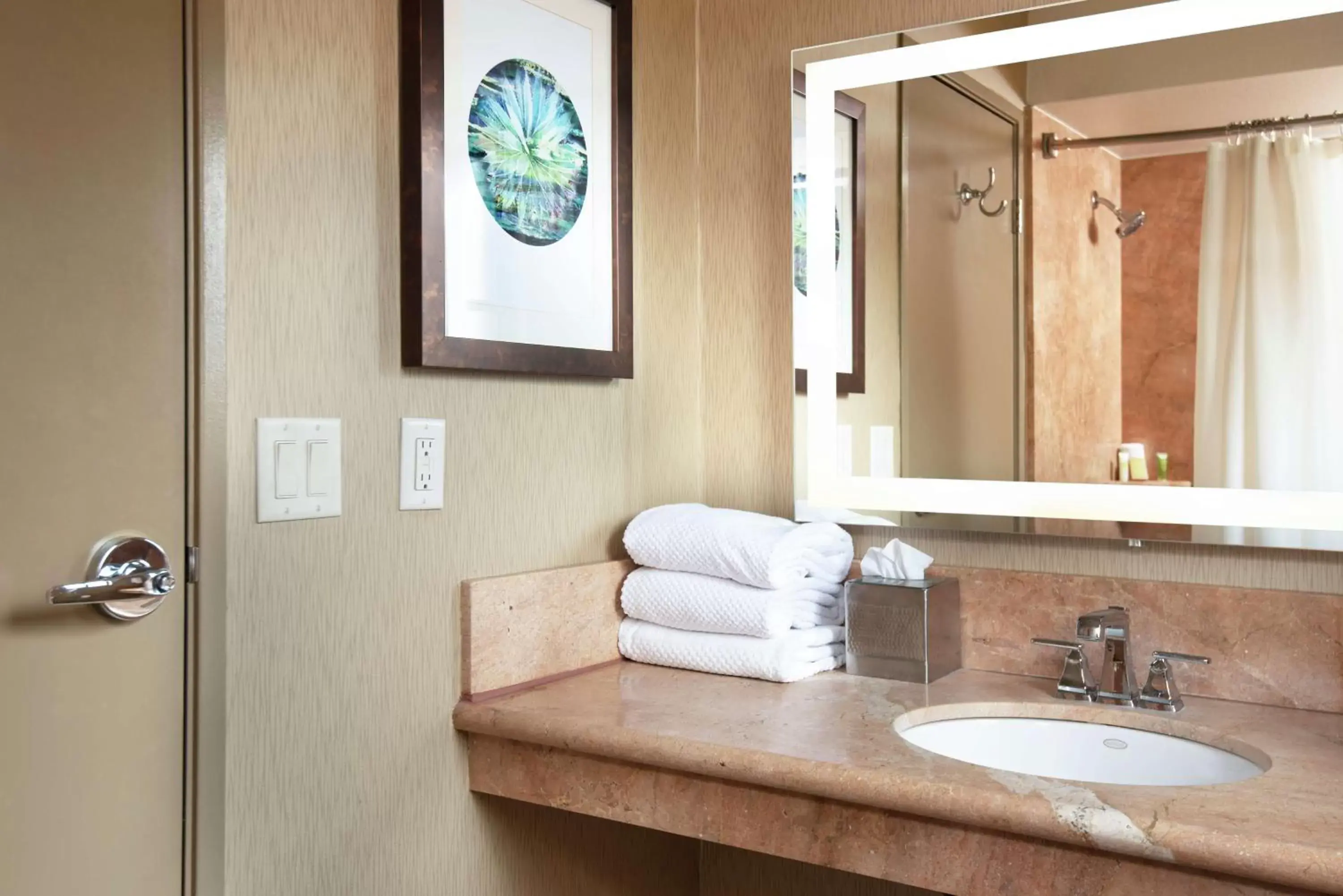 Bathroom in El Conquistador Tucson, A Hilton Resort