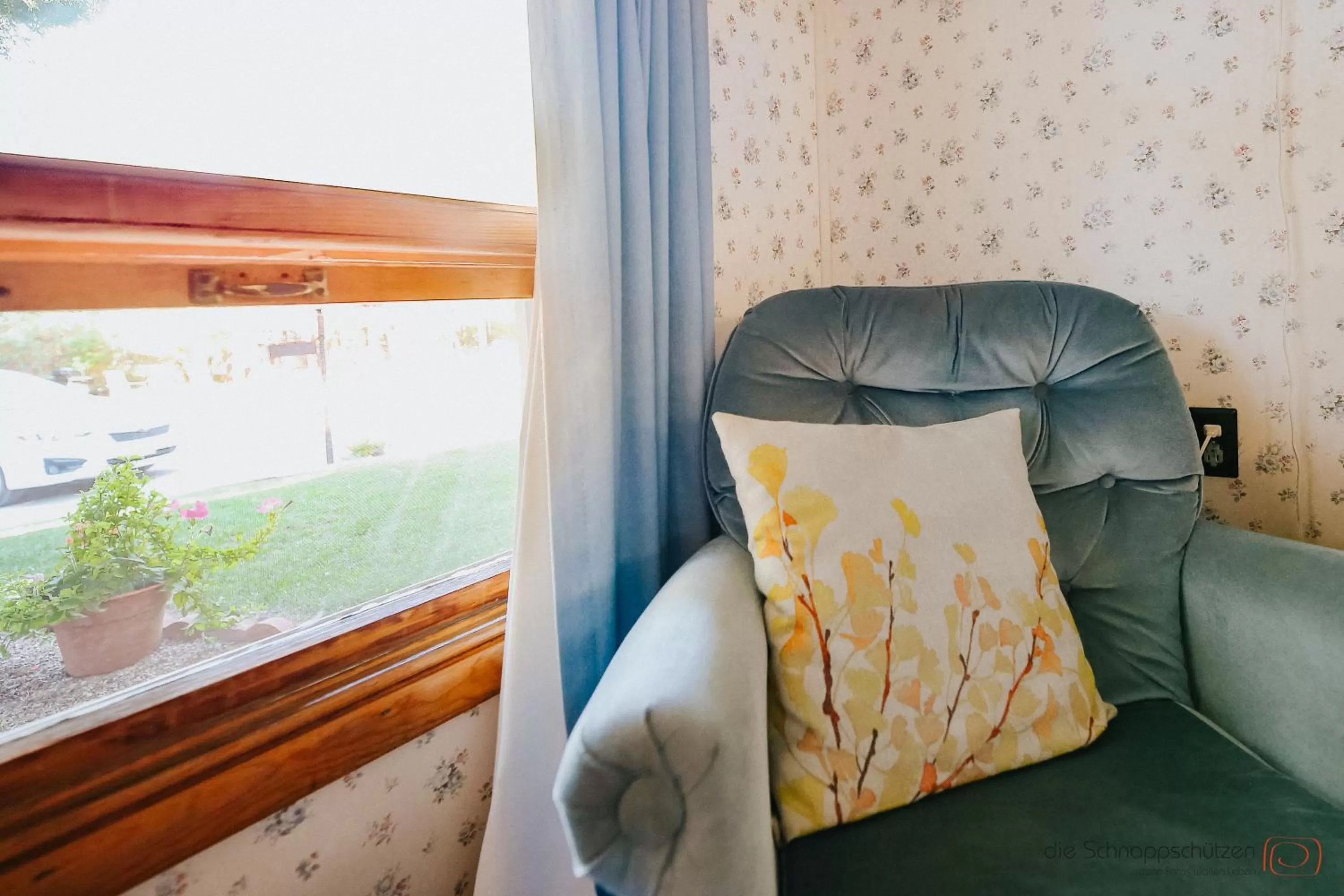 View (from property/room) in The Pines Country Inn