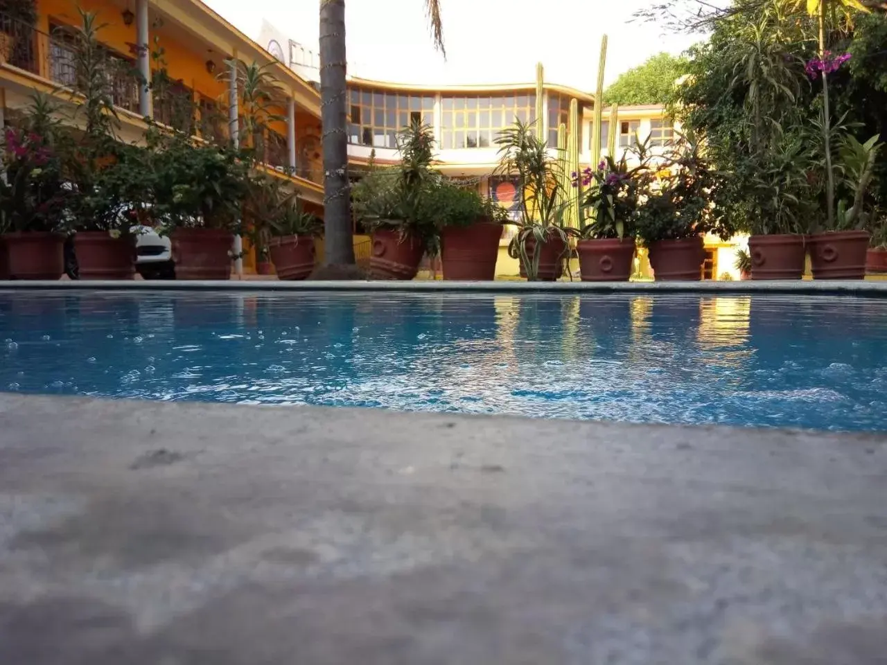 Swimming Pool in Hotel Plaza del Sol