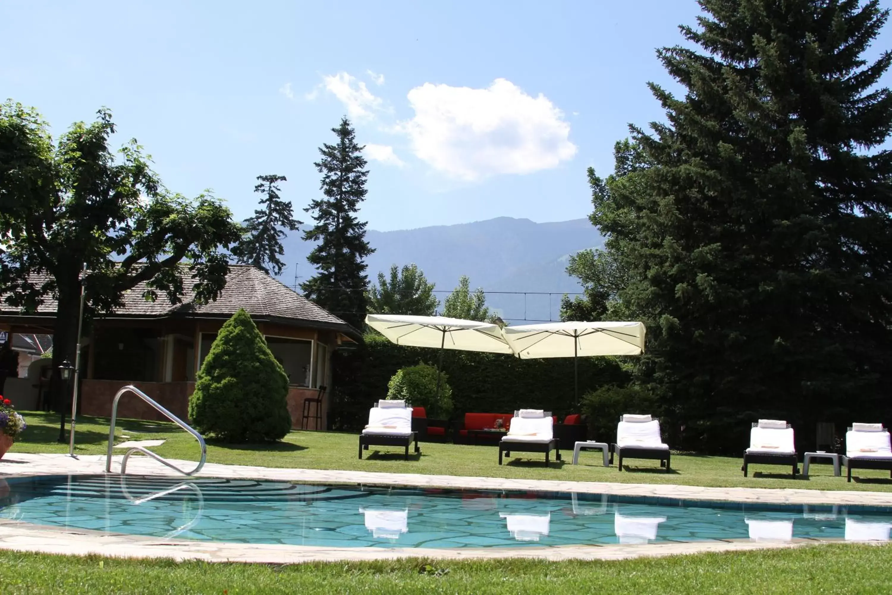 Garden, Swimming Pool in Hotel ANDER