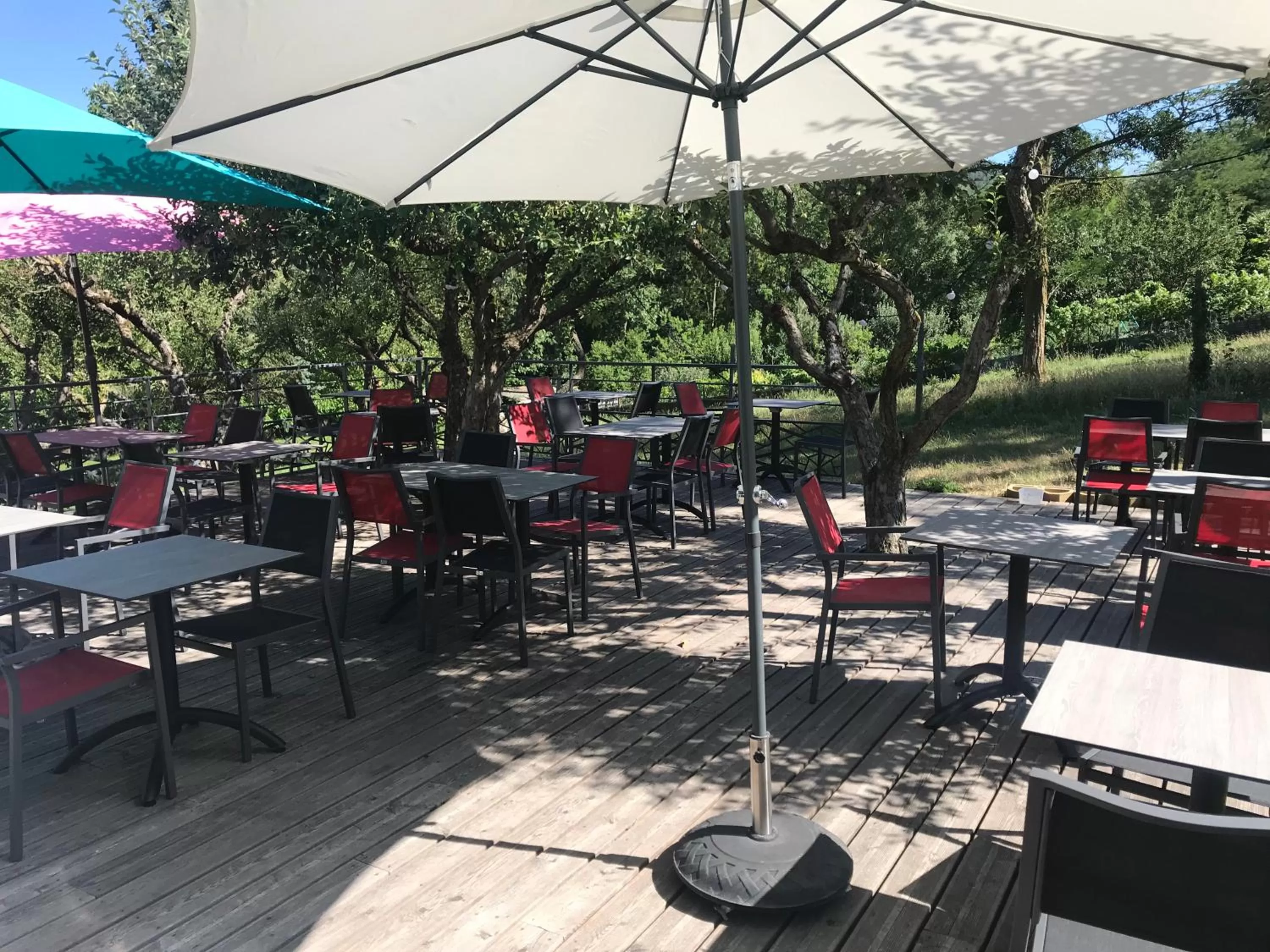 Patio in Hôtel Restaurant L'Artière
