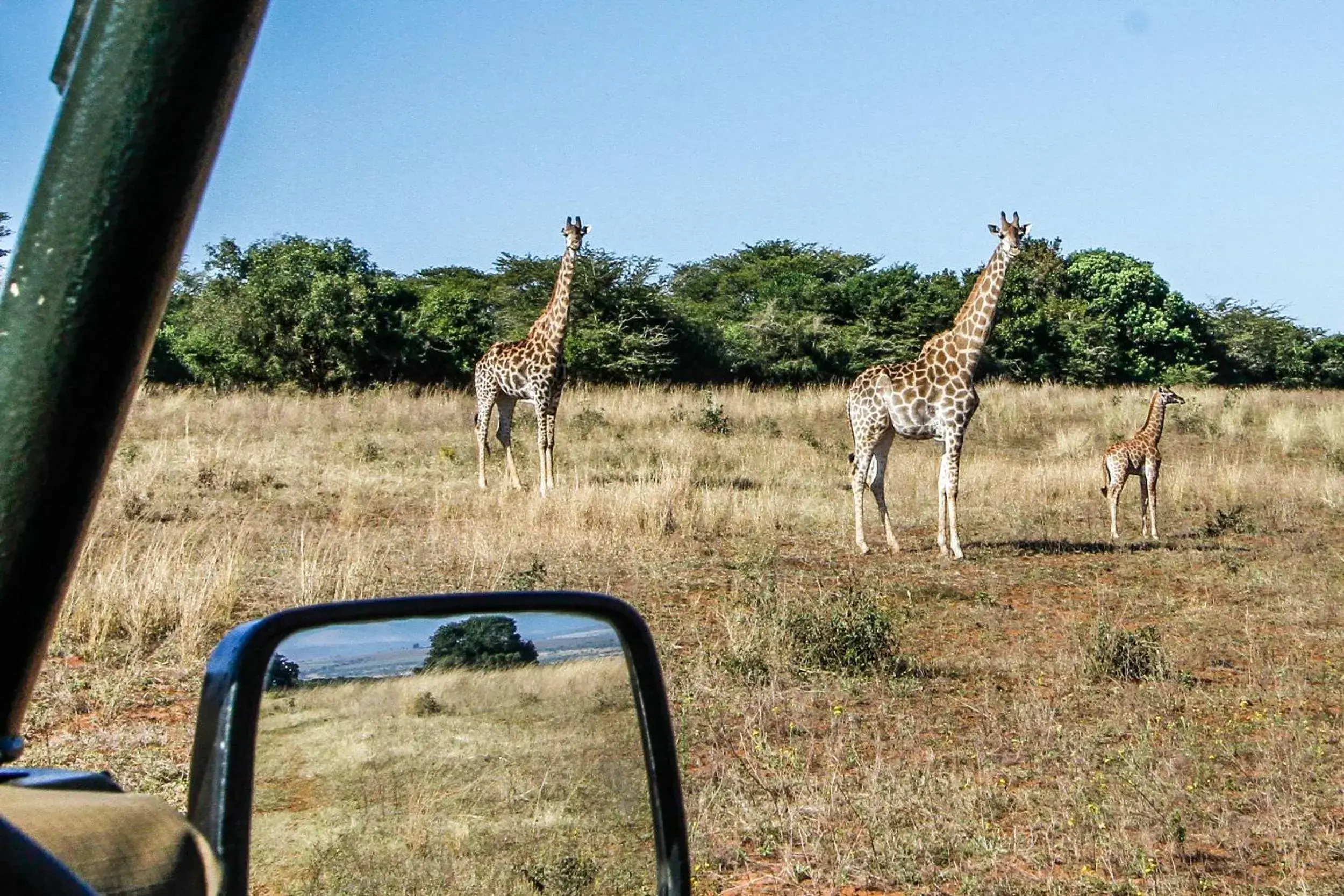 Activities in Ezulwini Game Lodge