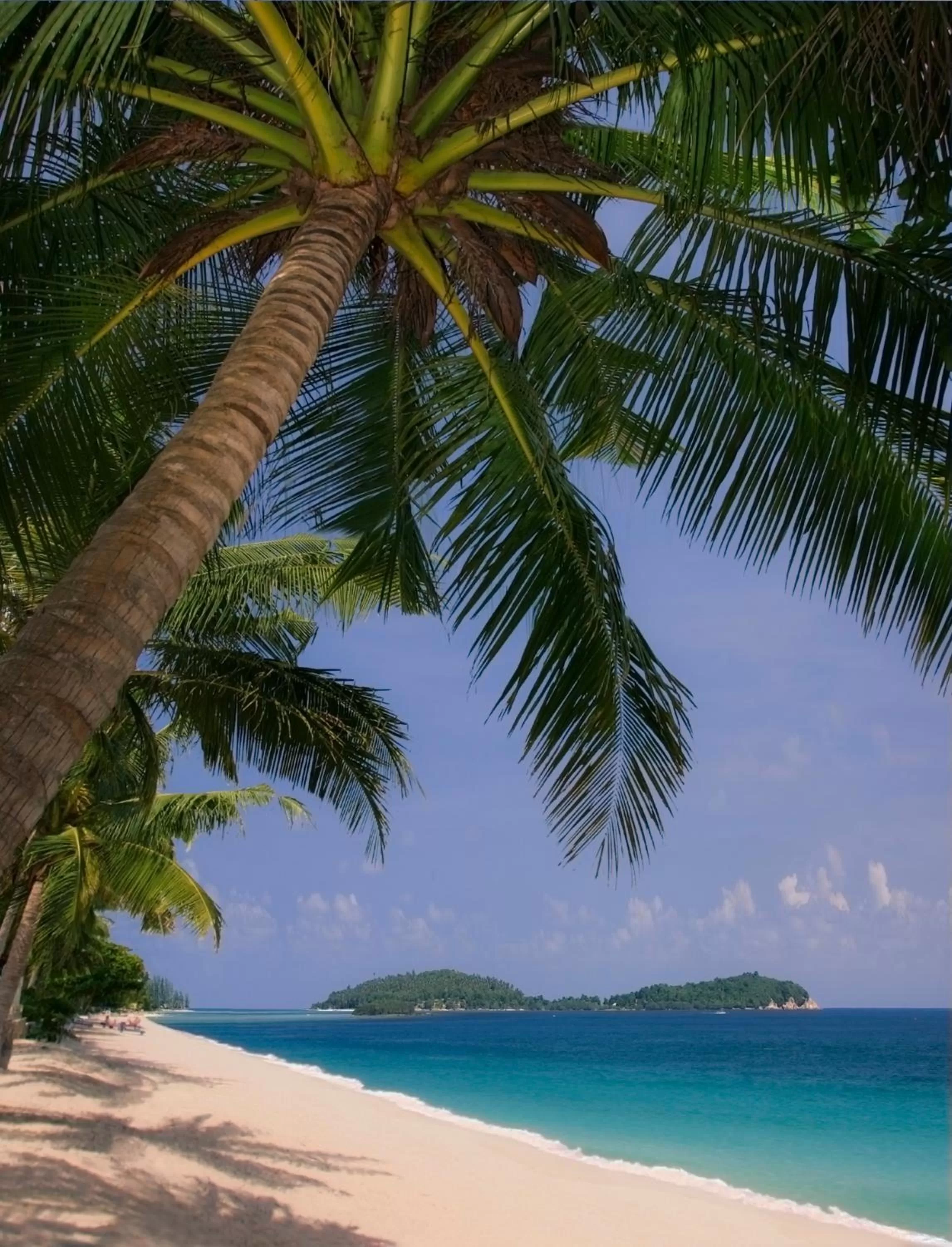 Other in The Privilege Hotel Ezra Beach Club