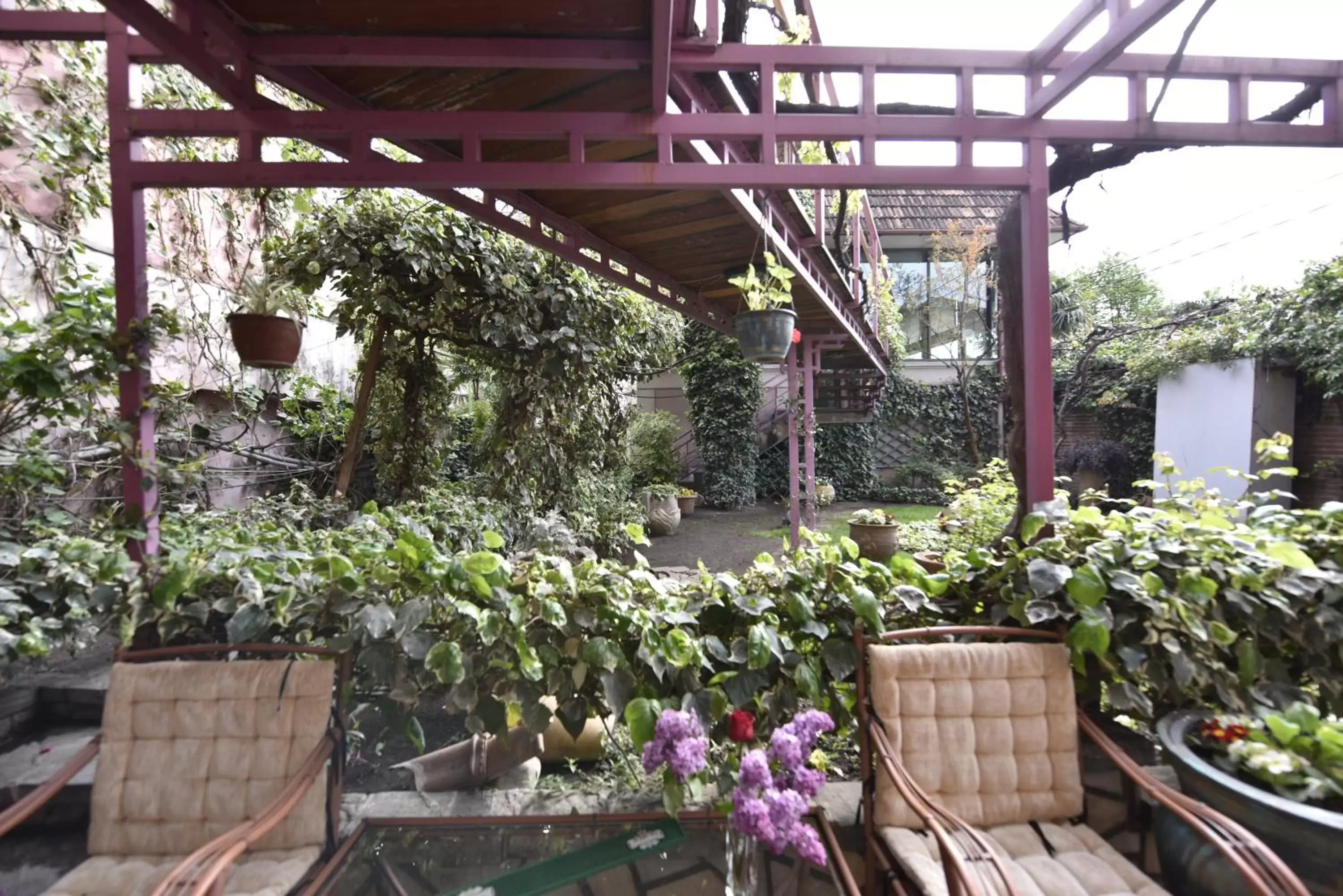 Garden in Irmeni Hotel