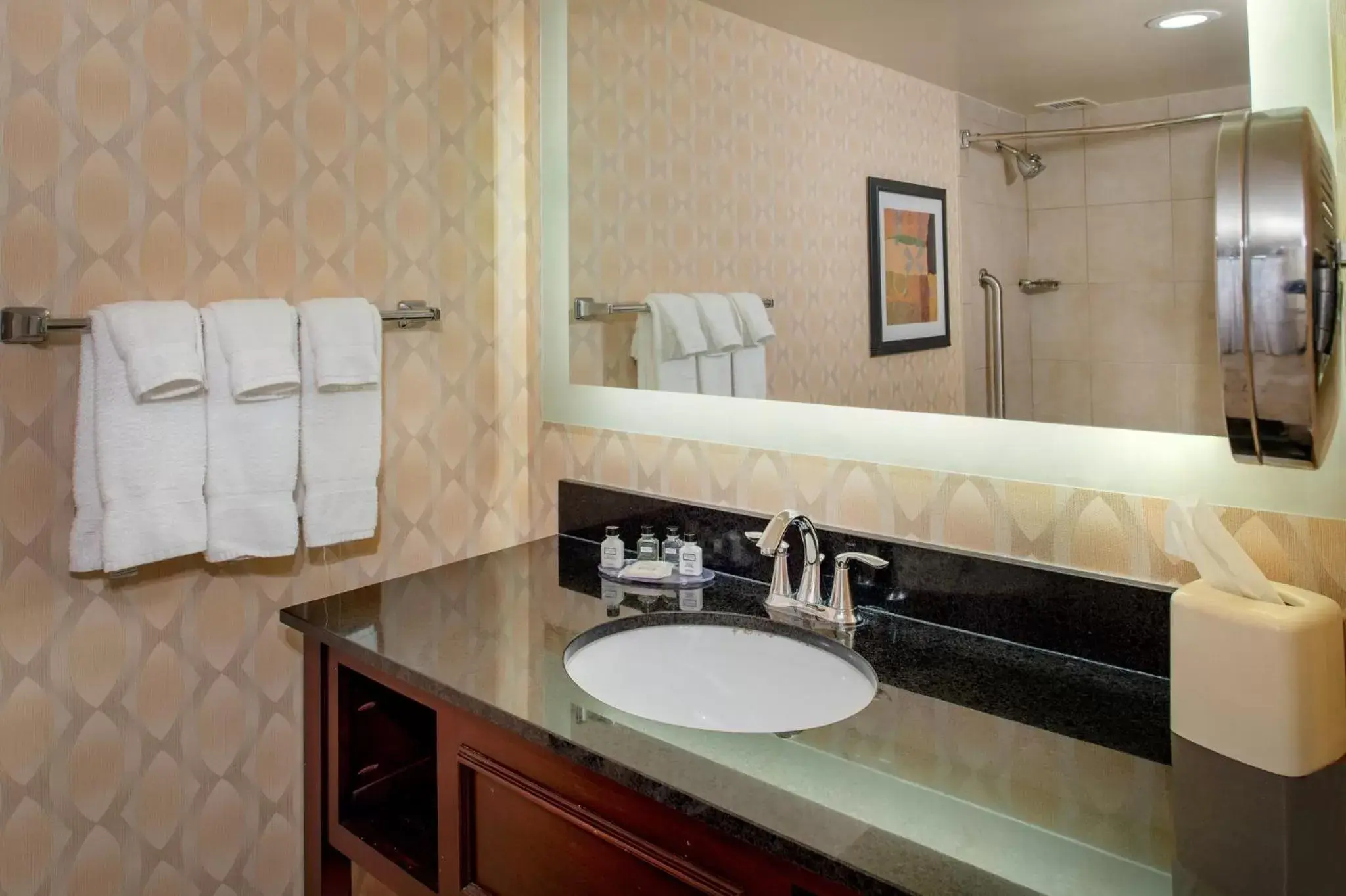 Bathroom in Crowne Plaza Hotel St. Louis Airport, an IHG Hotel