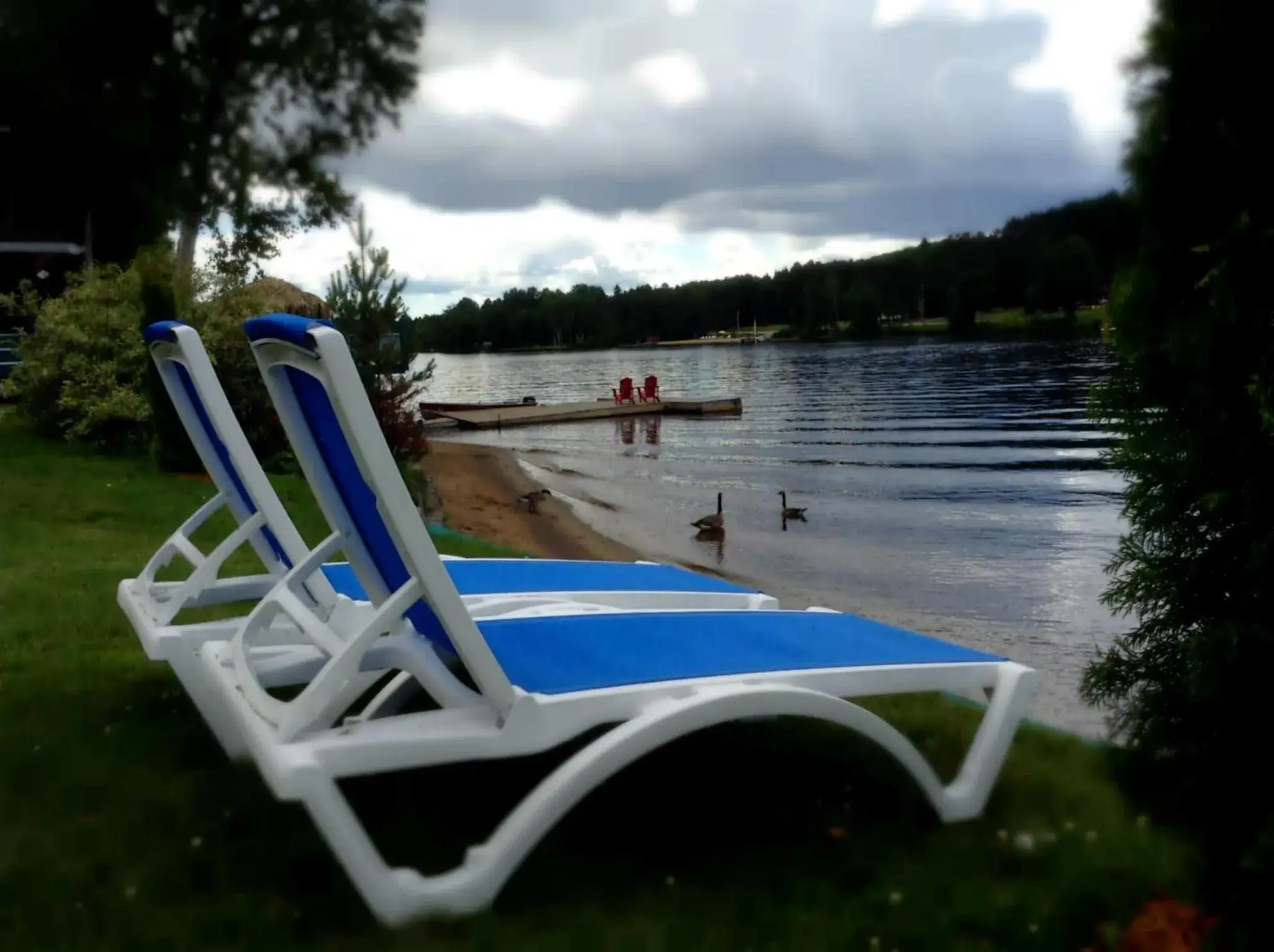 Beach in Algonquin Lakeside Inn