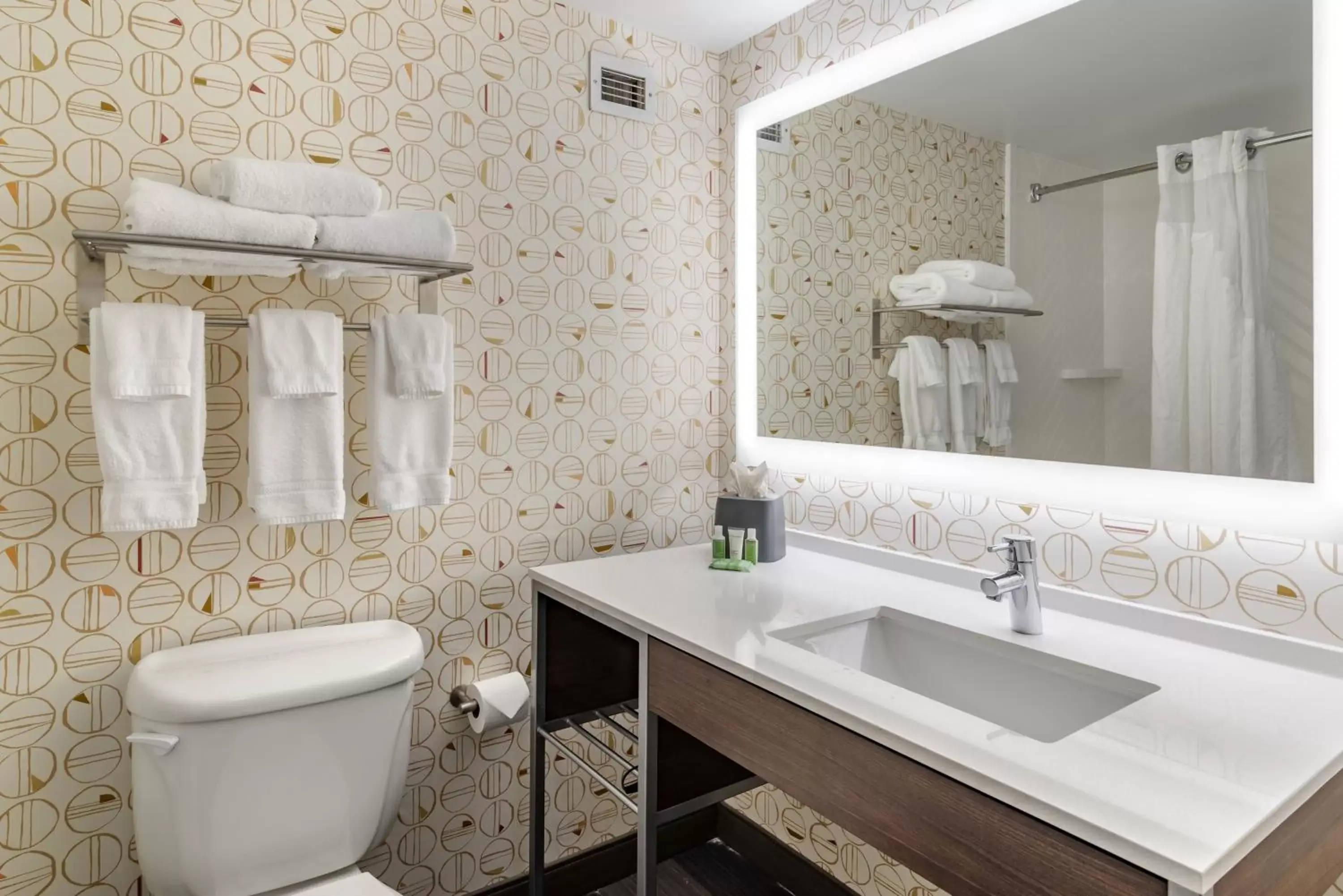 Bathroom in Holiday Inn Atlanta-Gas South Arena Area, an IHG Hotel