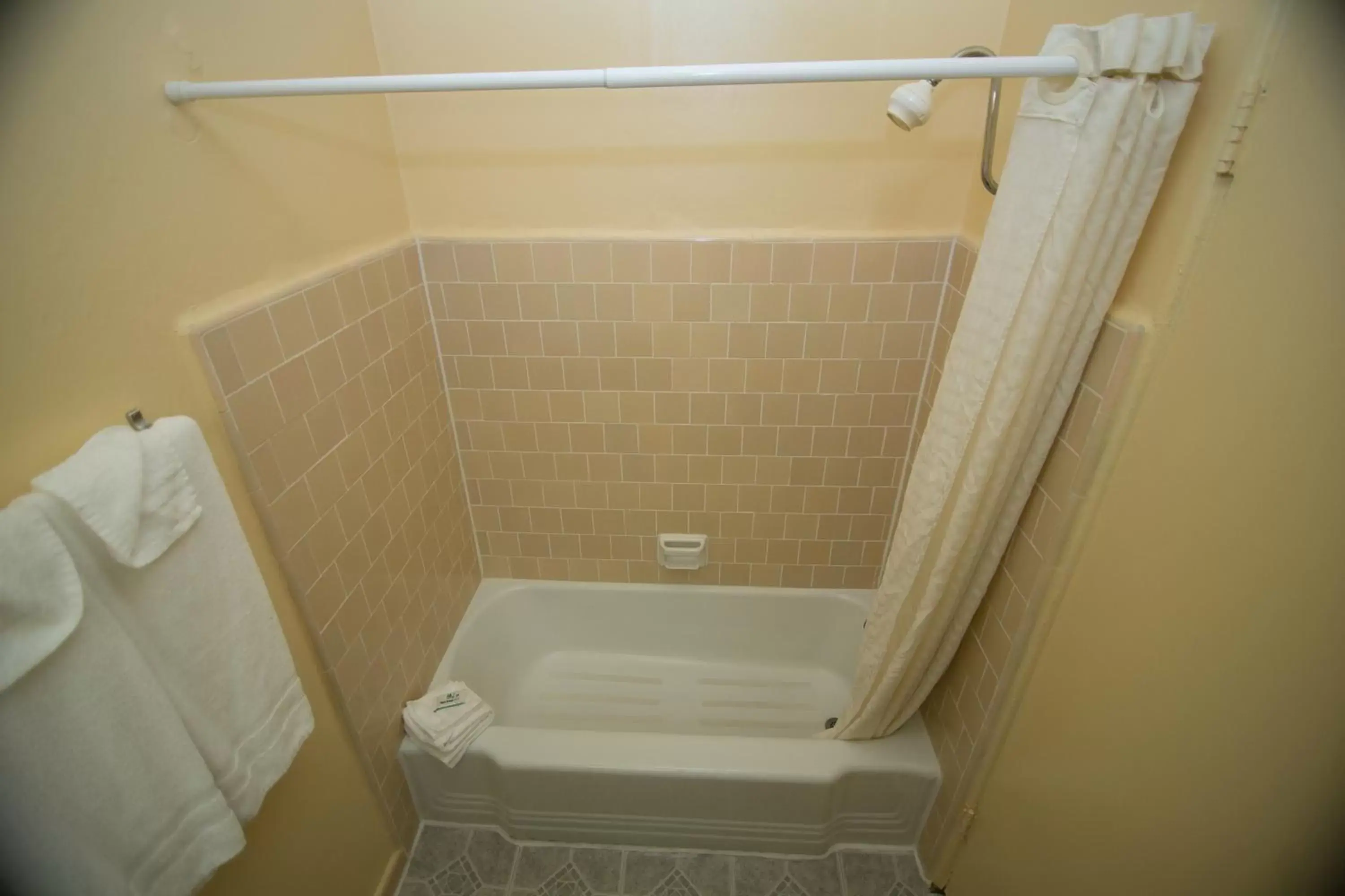 Shower, Bathroom in Eastside Lodge