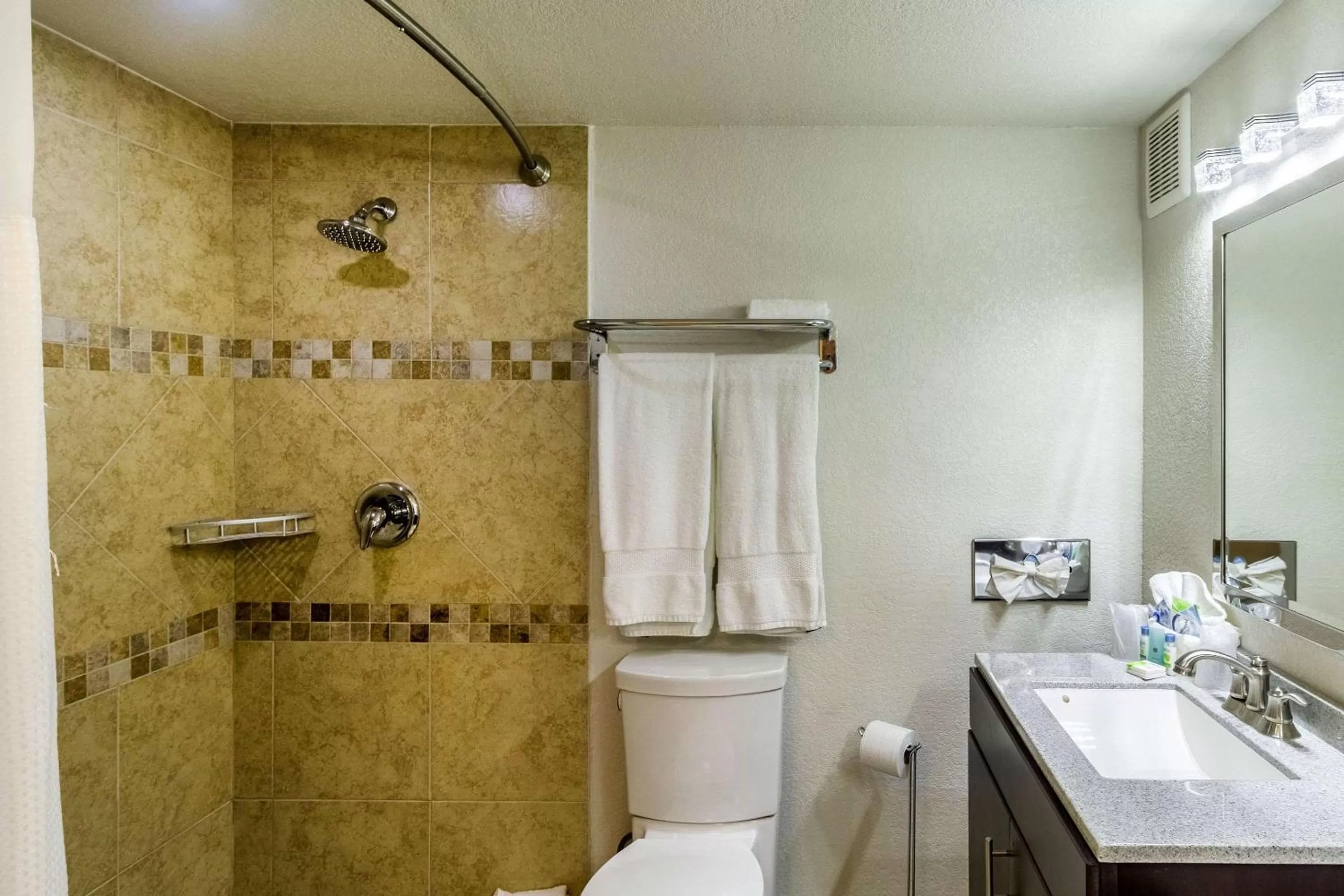 Bathroom in Clarion Inn near McAllen Airport