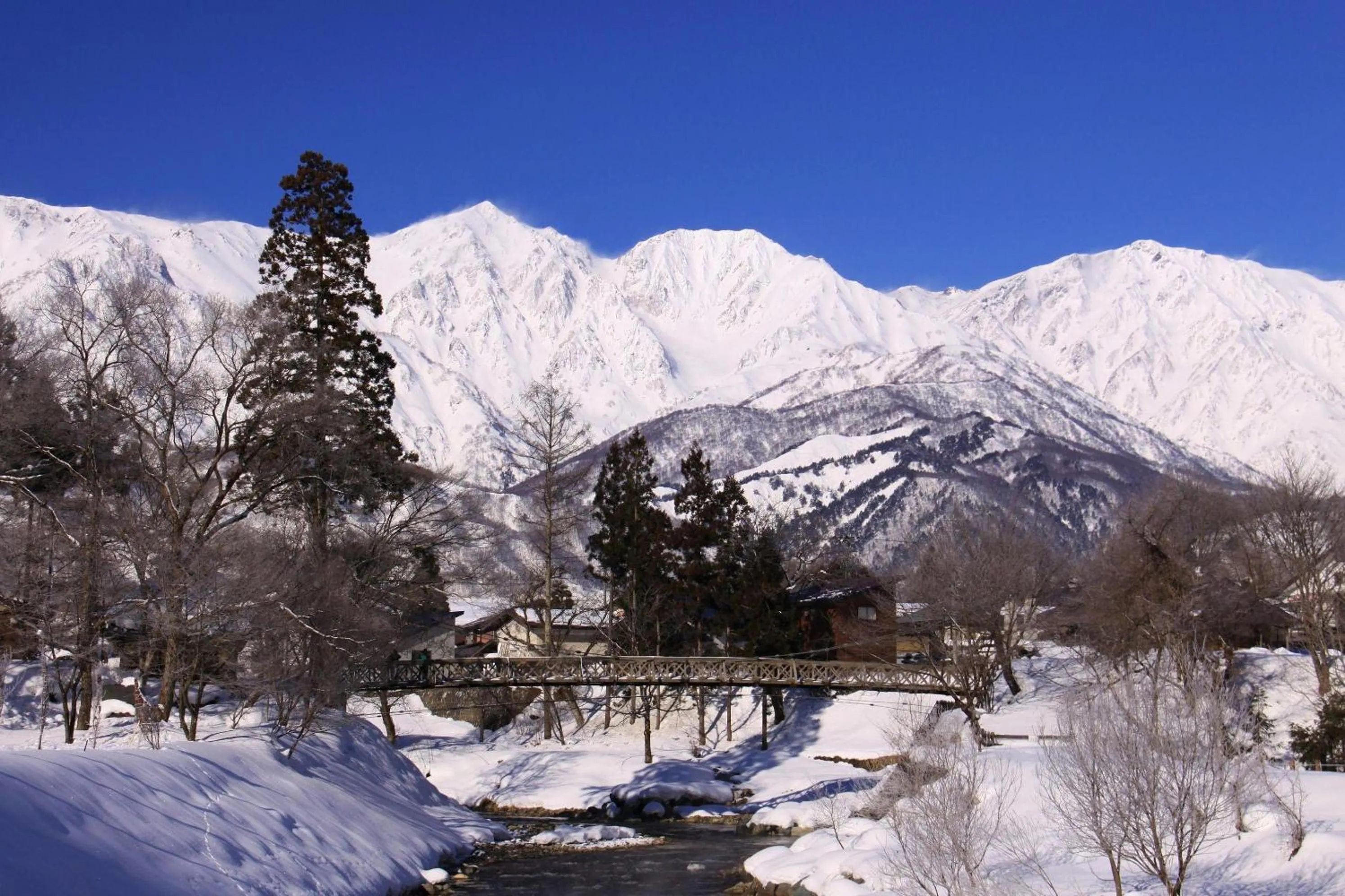Natural landscape in Hotel Hakuba