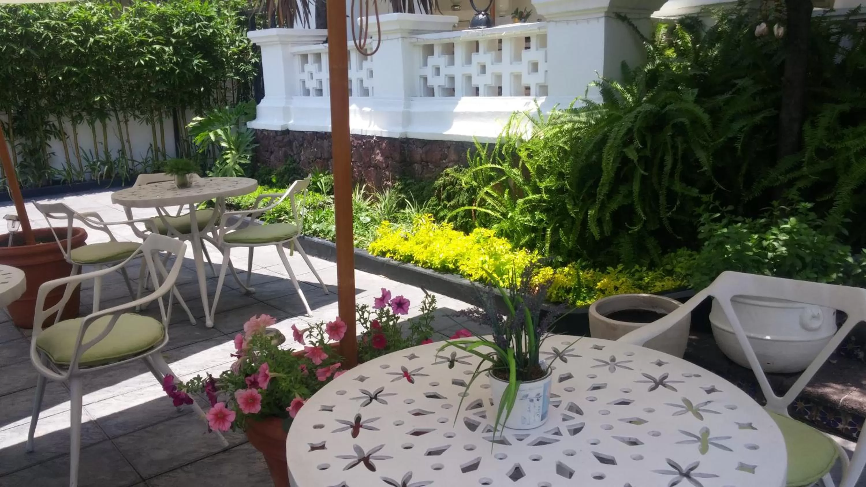 Patio/Outdoor Area in Casa Monraz Hotel Boutique