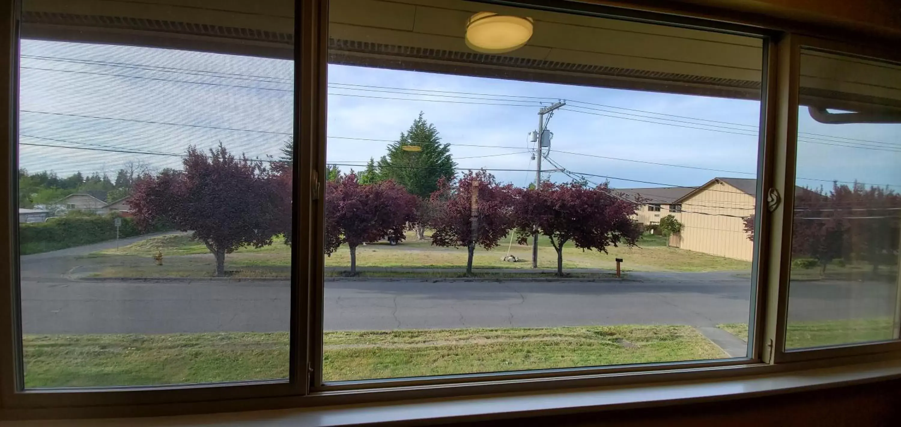 Garden view in Olympic View Inn Garden view in Olympic View Inn