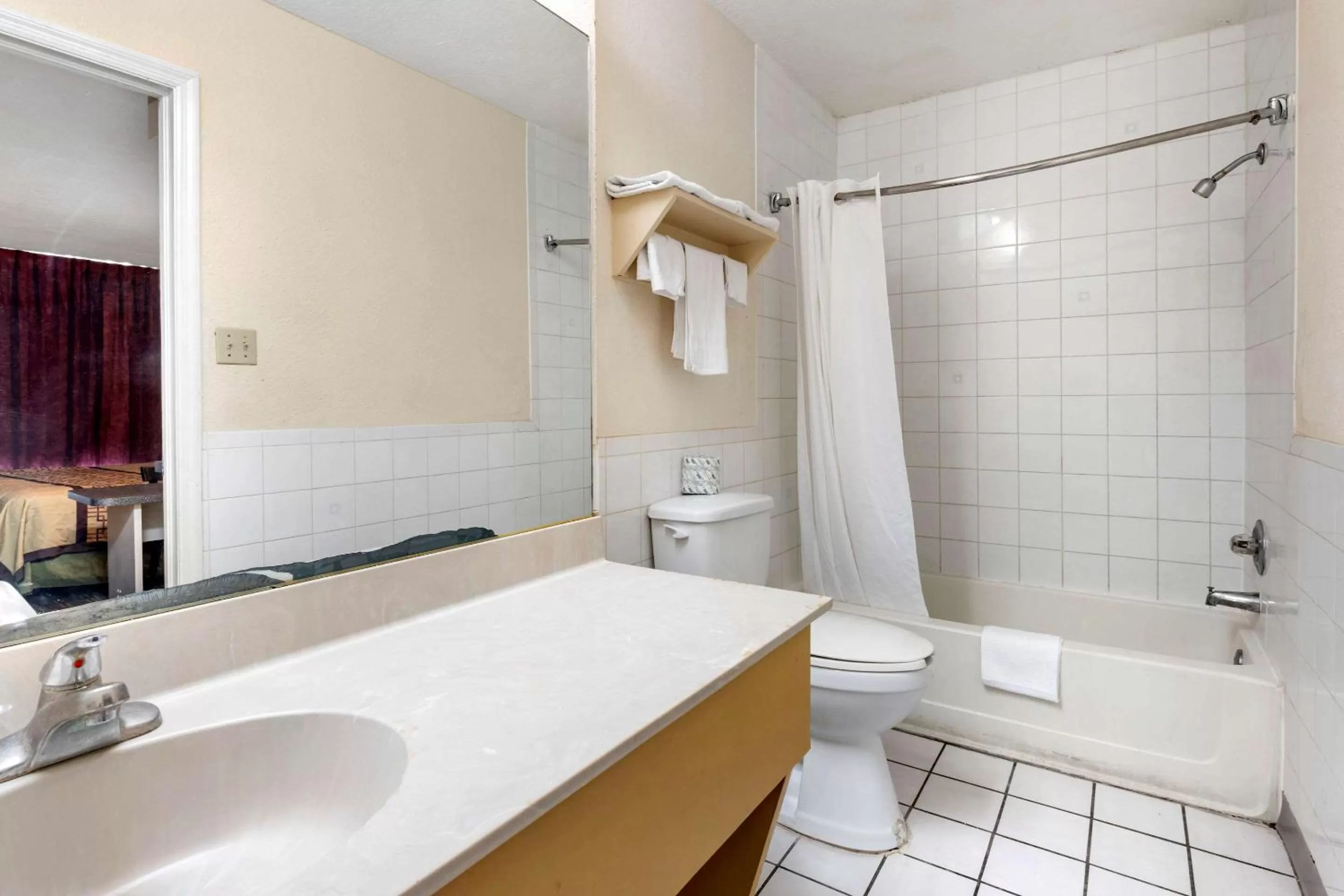 Bathroom in Rodeway Inn New Port Richey