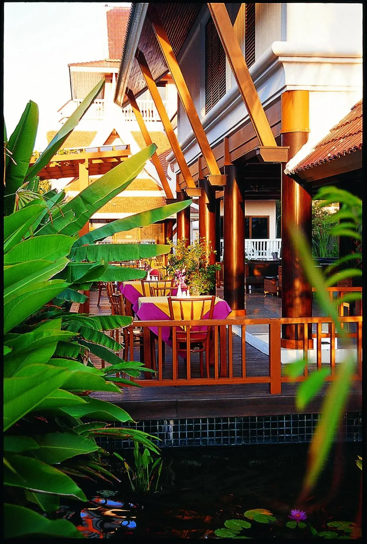 Restaurant/places to eat in Kata Poolside Resort SHA Extra Plus Restaurant/places to eat in Kata Poolside Resort SHA Extra Plus