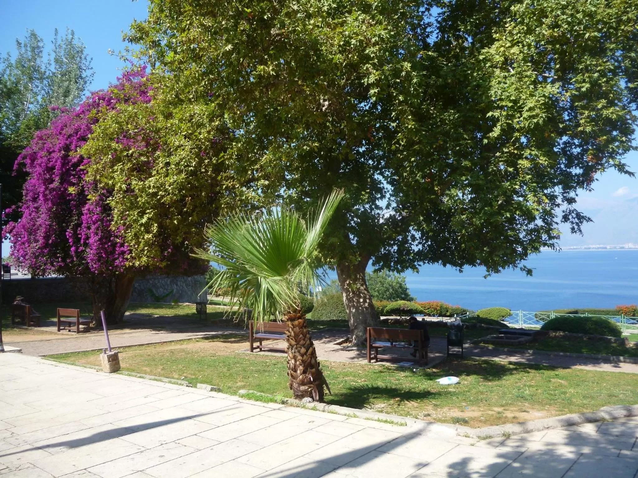Natural landscape in Frankfurt Hotel