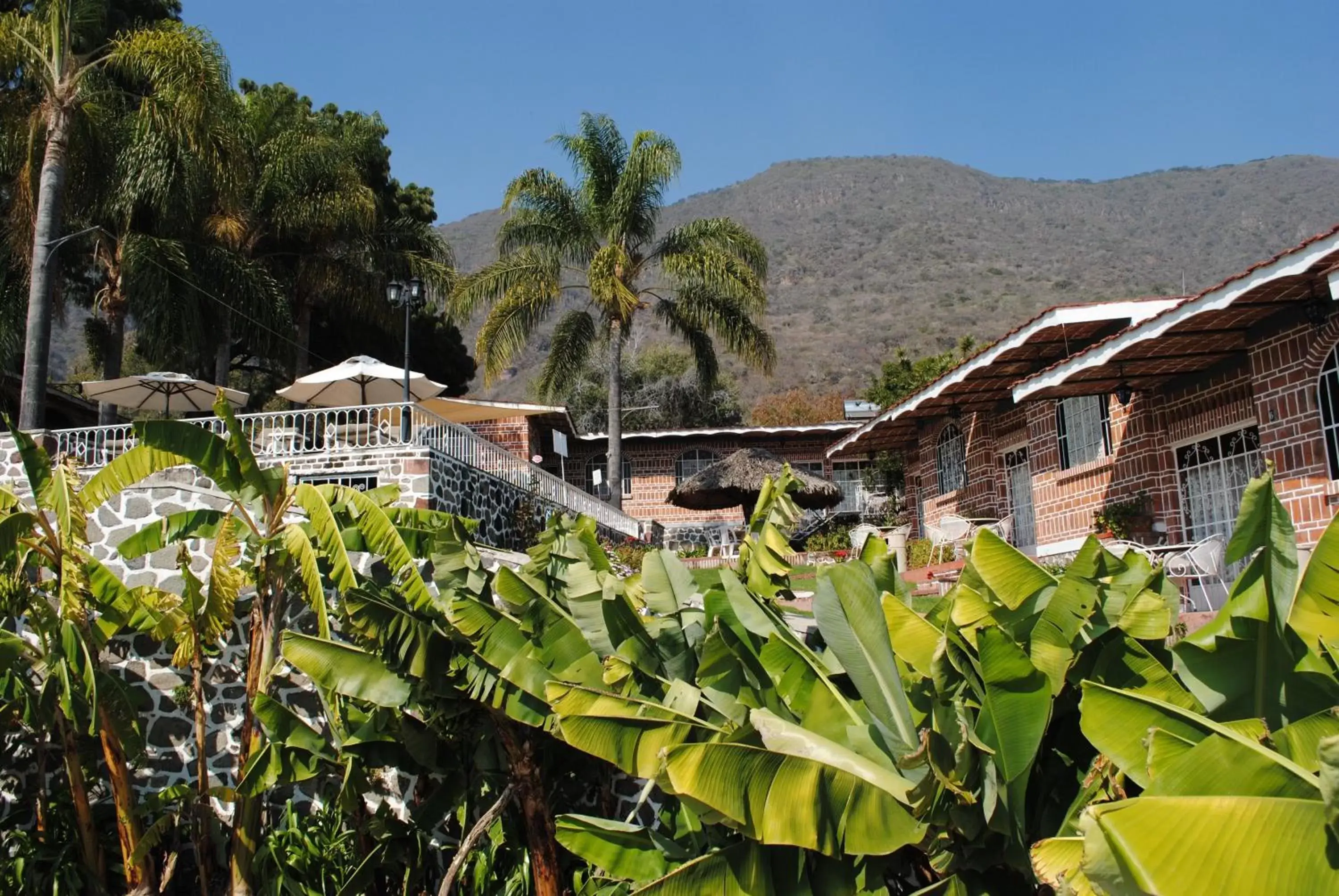 Garden, Property Building in Mama Chuy Hotel & Villas