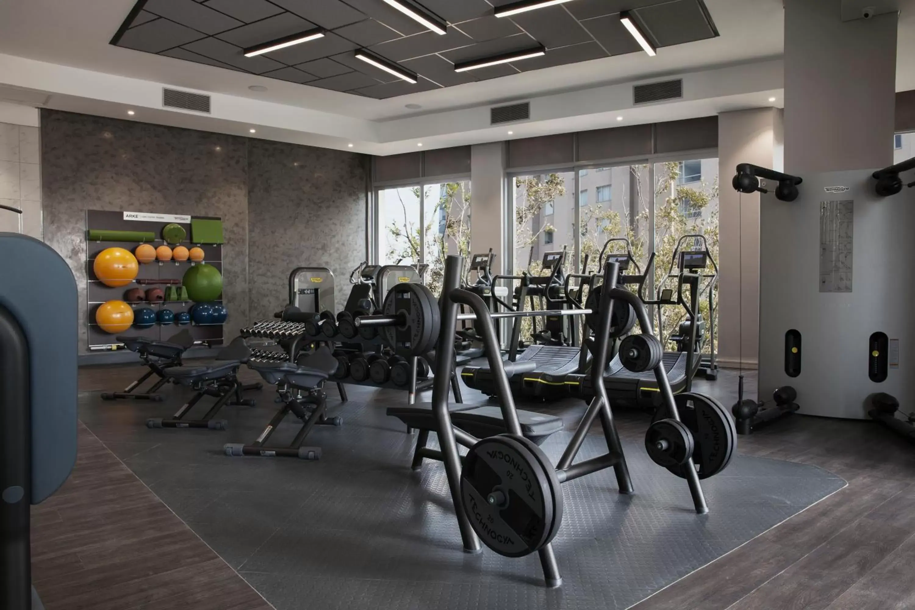 Fitness centre/facilities, Fitness Center/Facilities in The Capital on the Park