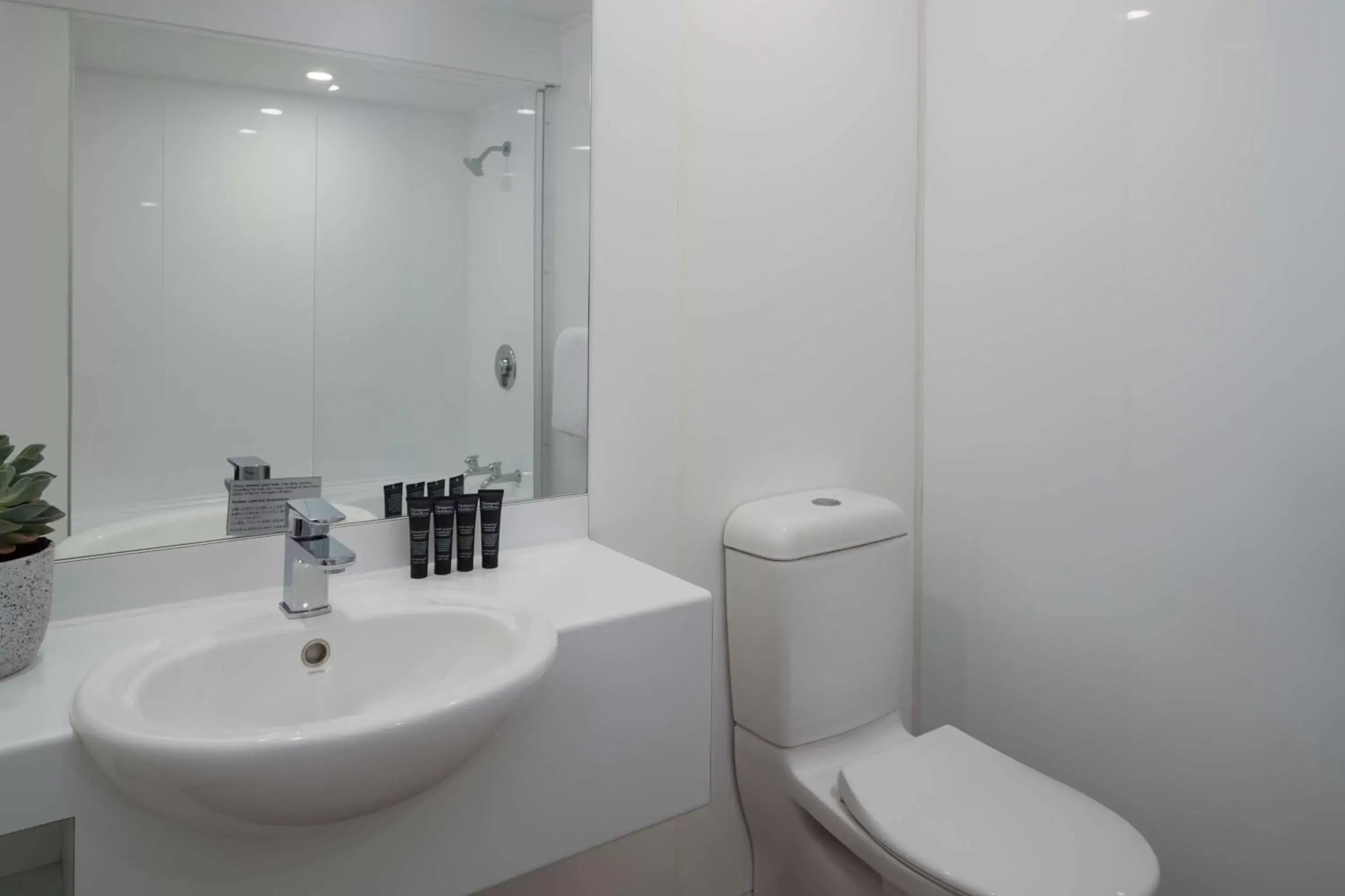 Bathroom in Rydges Lakeland Resort Queenstown