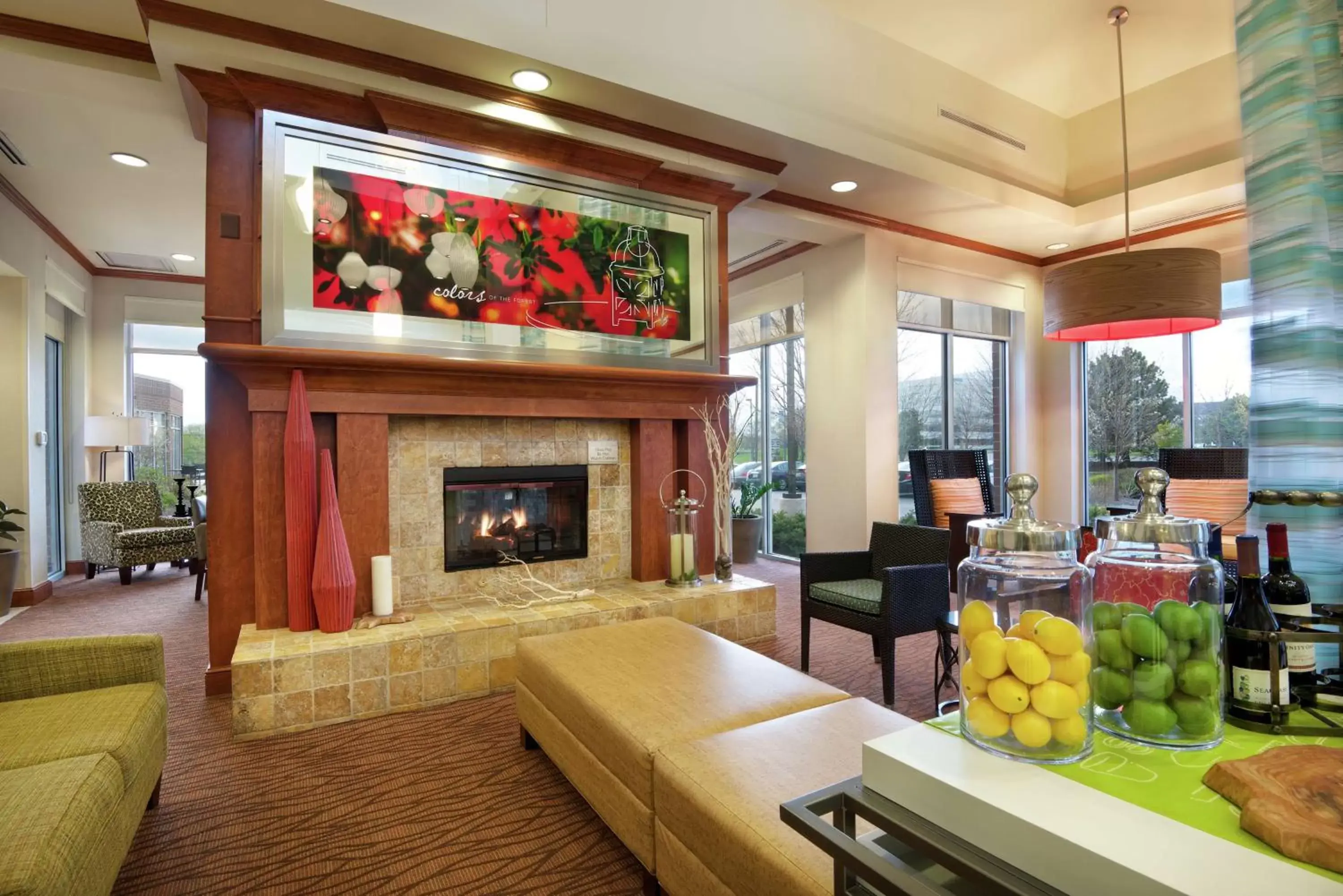 Lobby or reception in Hilton Garden Inn Schaumburg