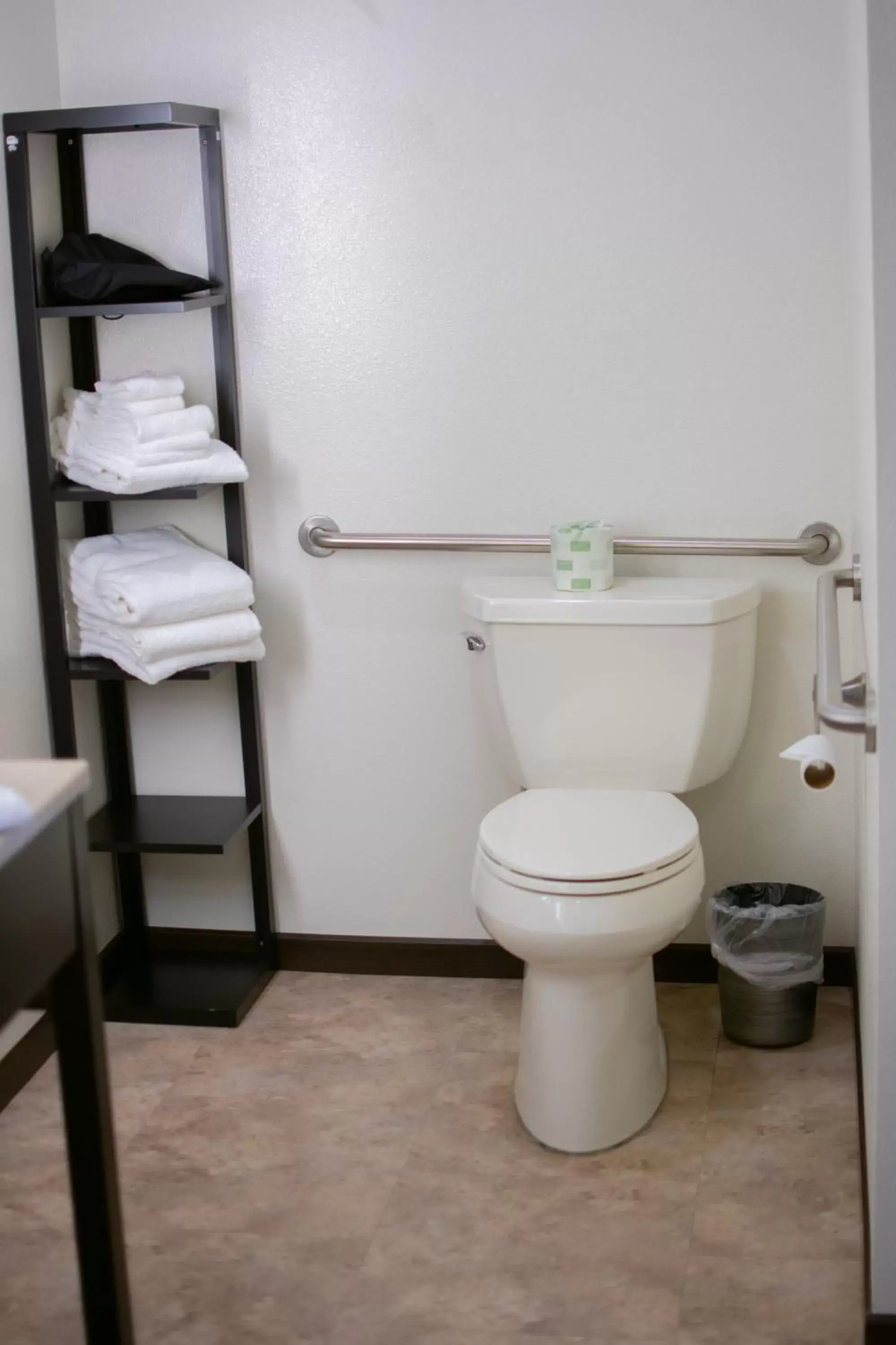 Toilet, Bathroom in Boarders Inn & Suites by Cobblestone Hotels - Syracuse