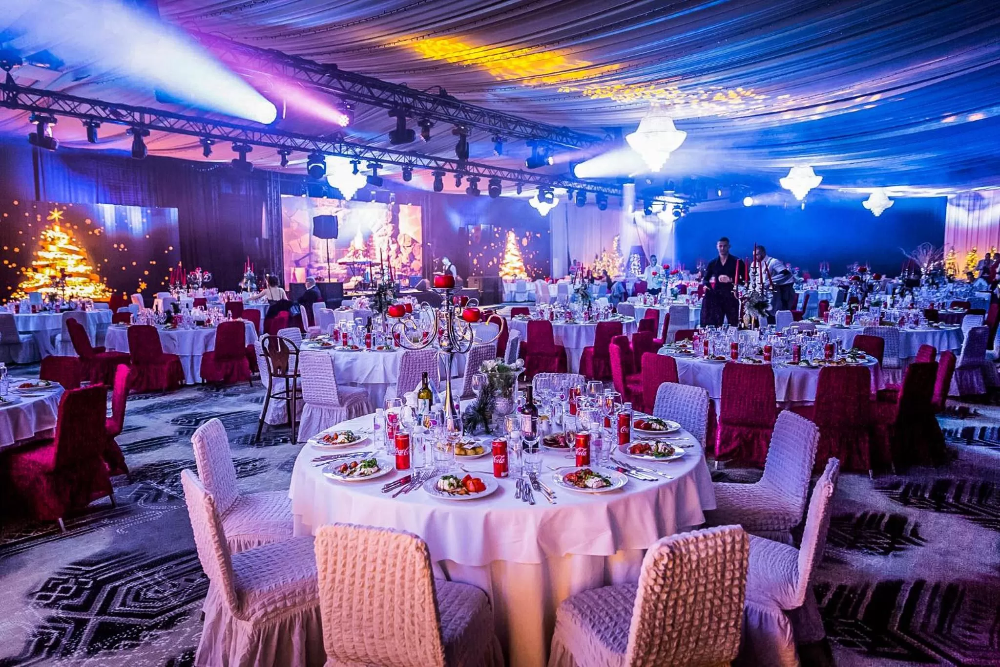 Banquet/Function facilities in Hotel Marinela Sofia
